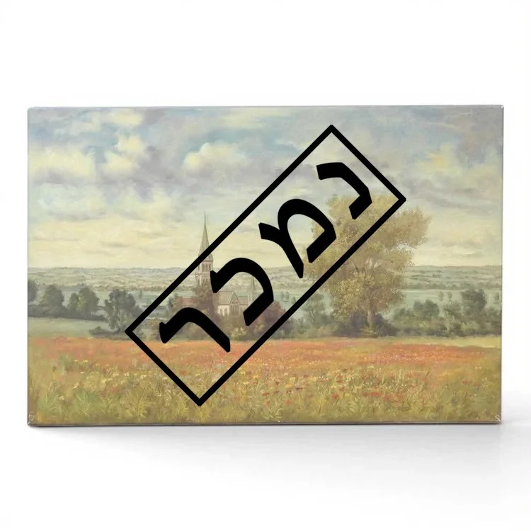 f67556d1-b6a9-4e71-a530-f2338f16ba9f העתק.jpg