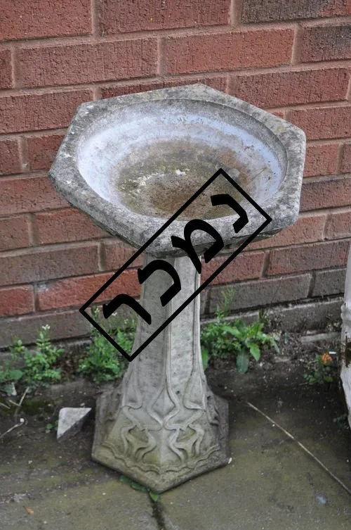 d04d5024-abd7-4d1c-9b01-89ae1d6e3cbf copy.jpg