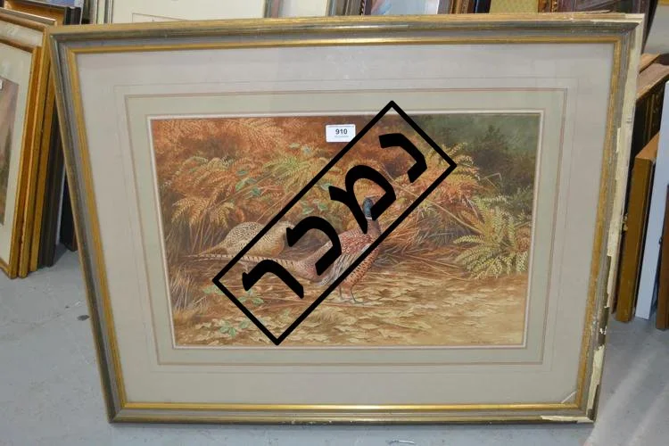 7fb15be2-2959-4386-9734-0ba1fca8604b העתק.jpg