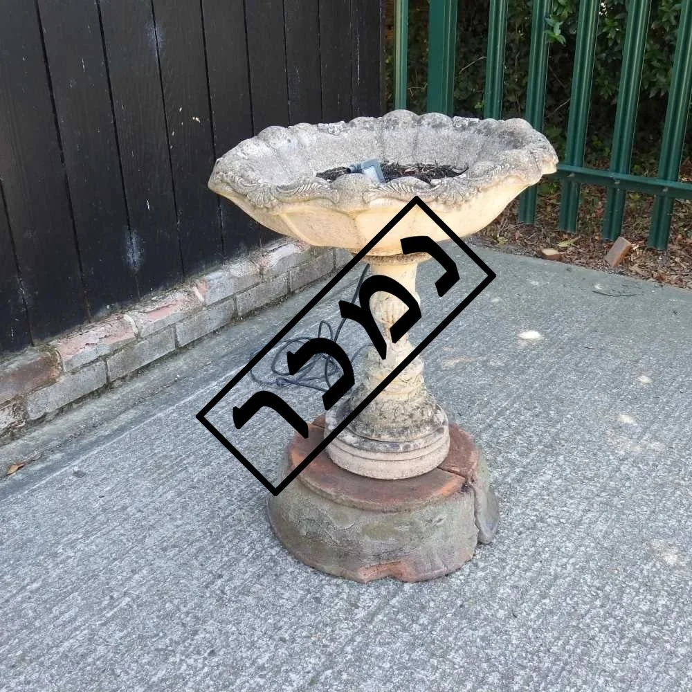 395ad5b4-e051-4696-9459-8152784850a5 העתק.jpg