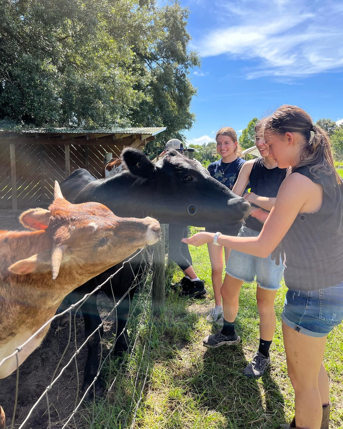 Thanks so much to this sweet hard-working crew of UF students for helping me pull monster overgrown weeds (y&rsquo;all are so strong!) and for planting some pollinator friendlies 🌸 in the community garden with me 🦋🐝 Thank you @pawclubufl 🐾💕!