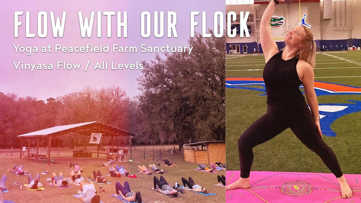 Yoga TODAY at 6pm ✨ Sunday April 28th: Join us for a sunset vinyasa flow class at Peacefield Farm Sanctuary taught by the wonderful Emily 🩷. Accessible for all levels but you&rsquo;ll definitely get a work out if you&rsquo;d like! All are welcome. W