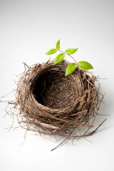 Empty nesting: Redefining your marriage when the children leave 
