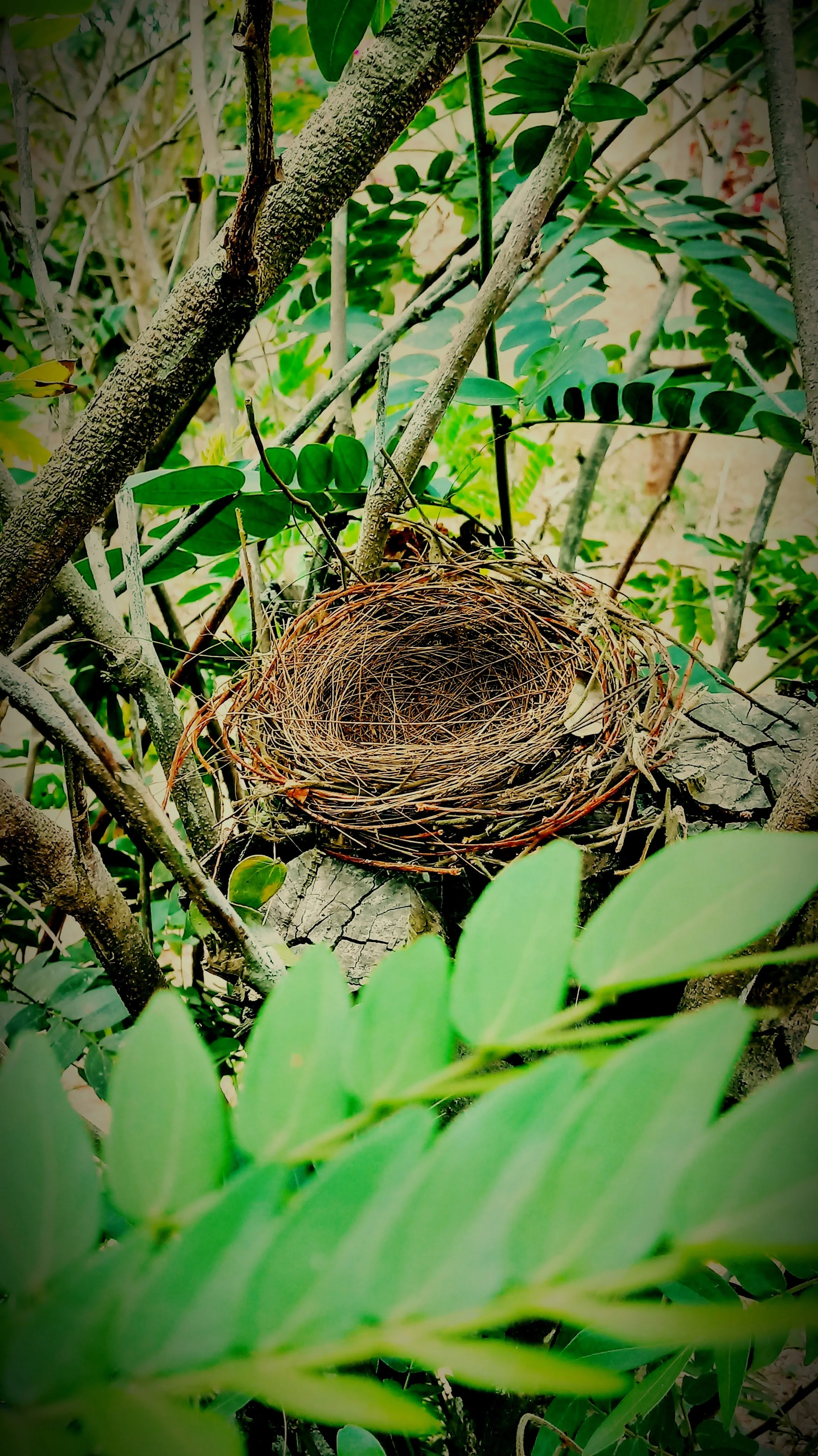 Empty nest; now where does our marriage go?