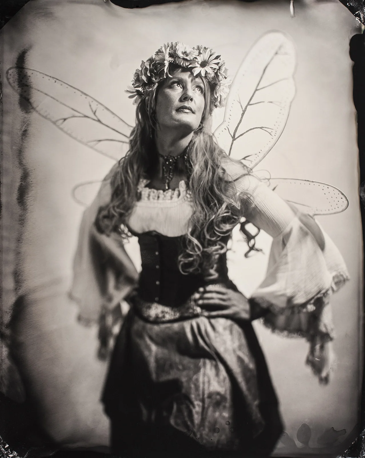 Fairy