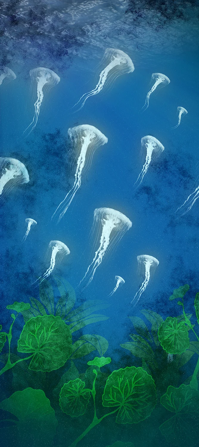 Herrera_Art_Box_Jellies_02.jpg