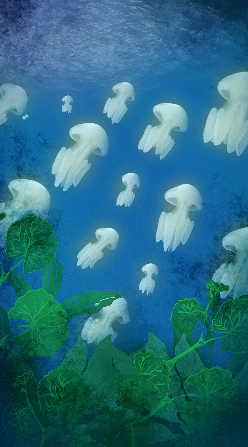 Herrera_Art_Box_Jellies_03.jpg