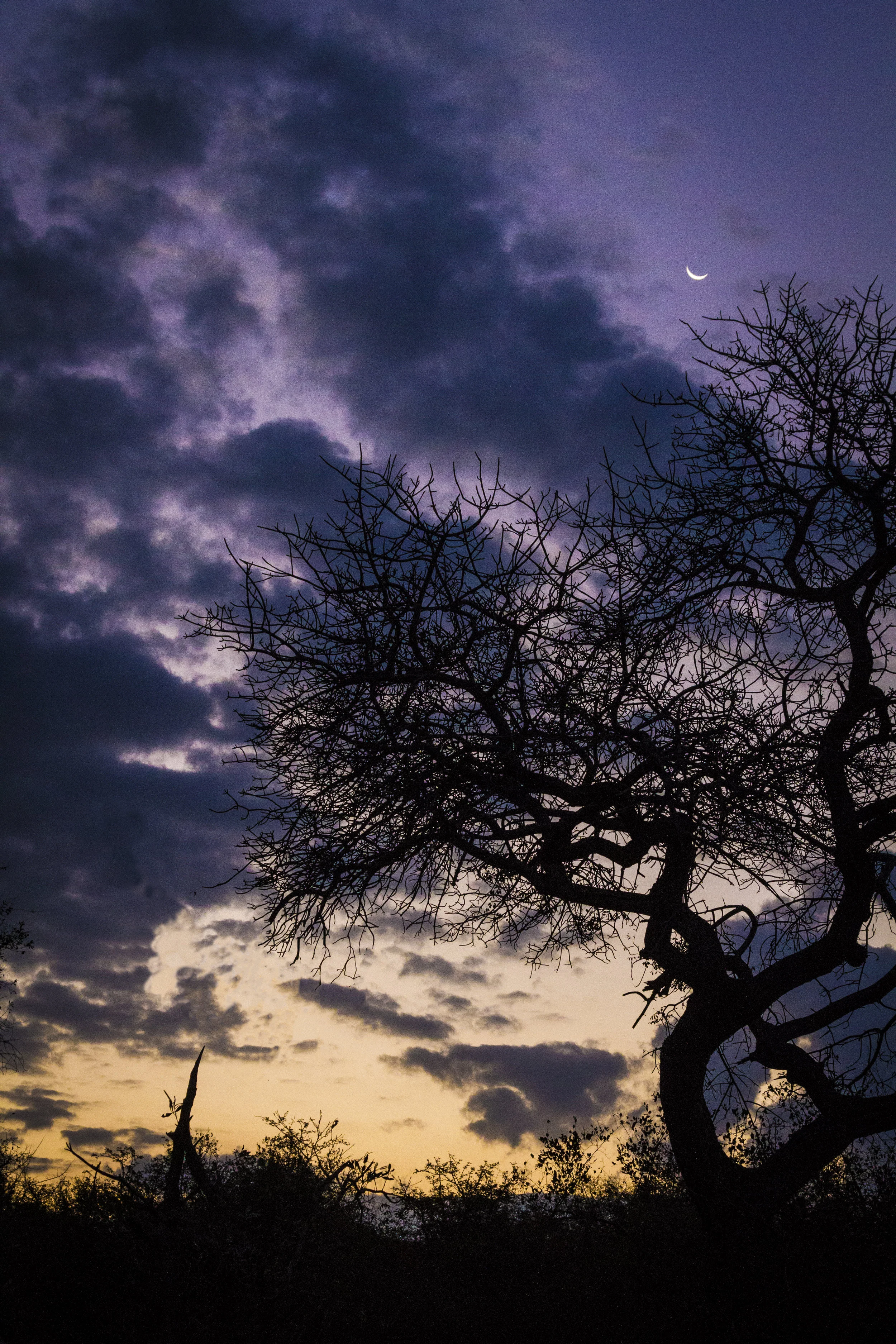 Midnight Sunset.jpg