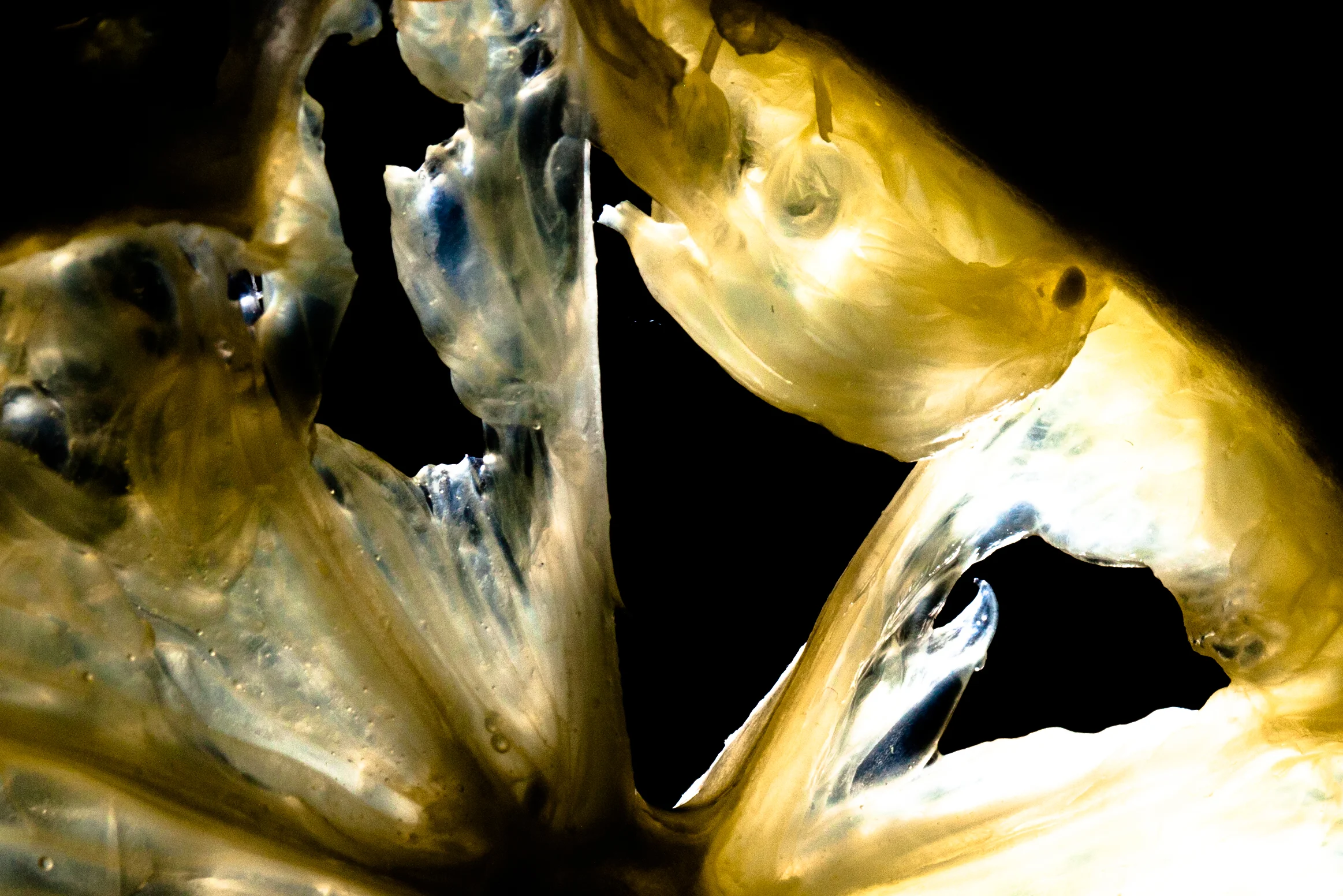 untitled-7908.jpg