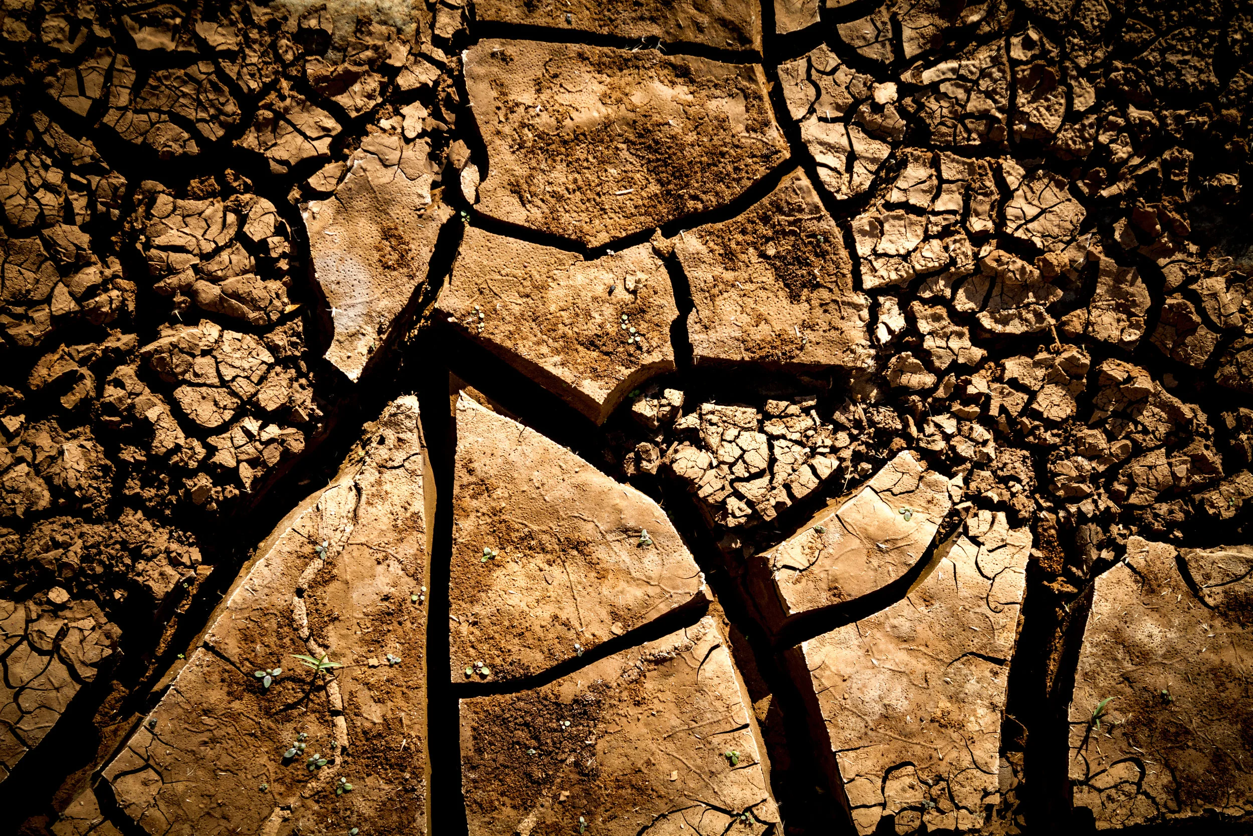 untitled-9899.jpg