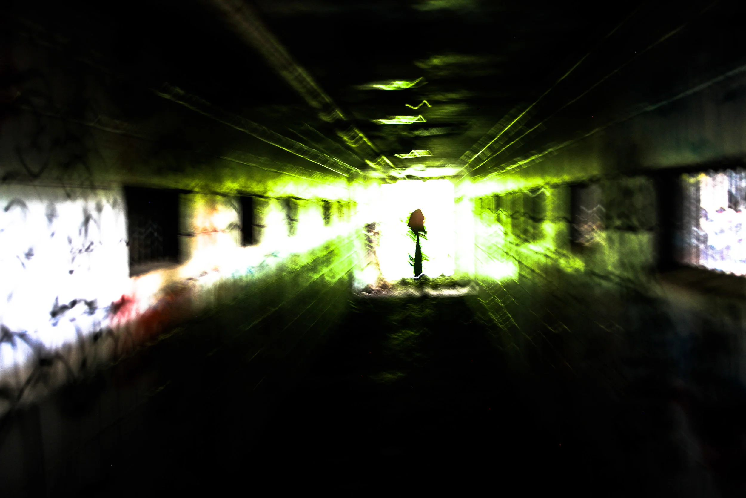 untitled-9008.jpg