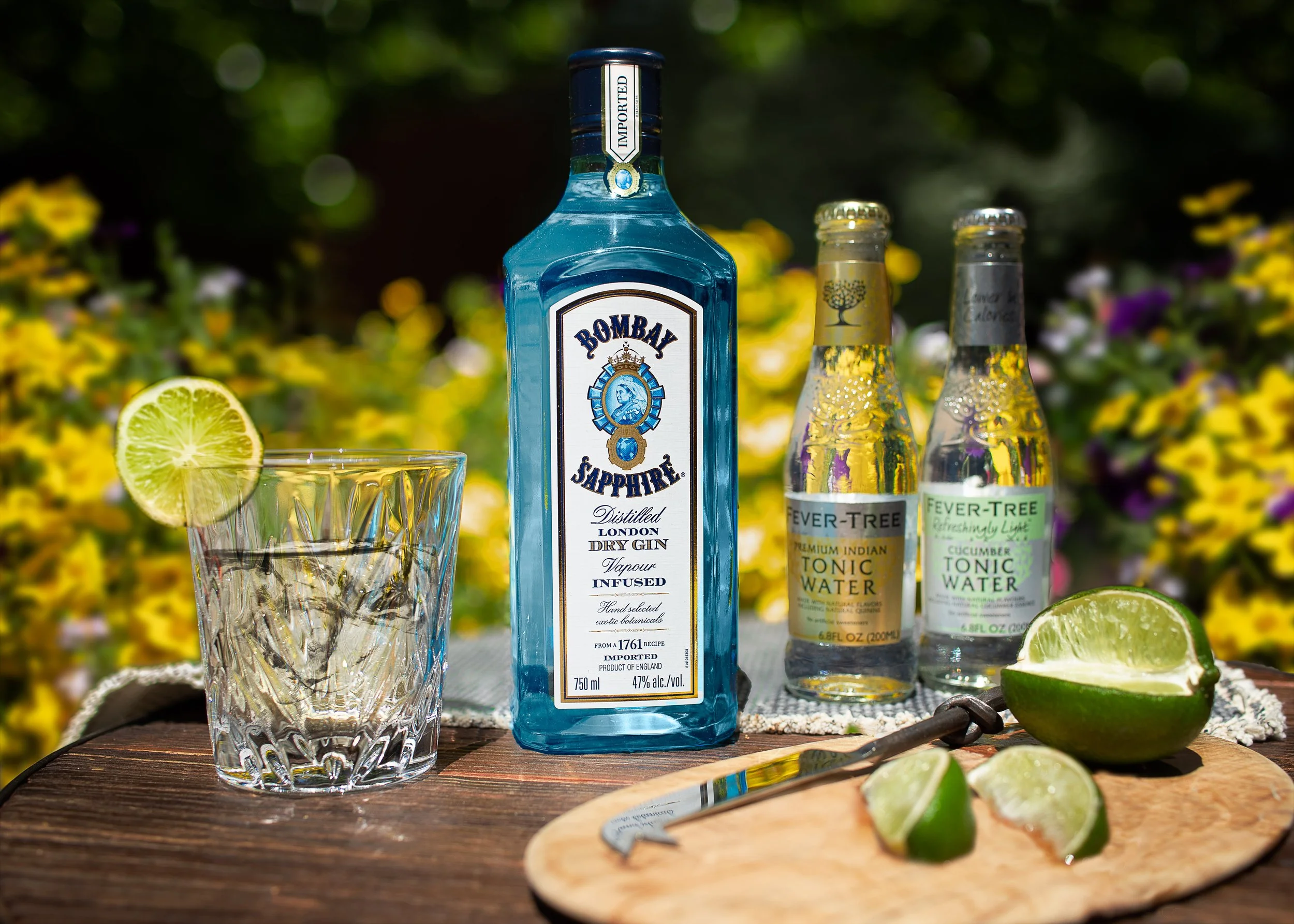 Bombay standing up.jpg