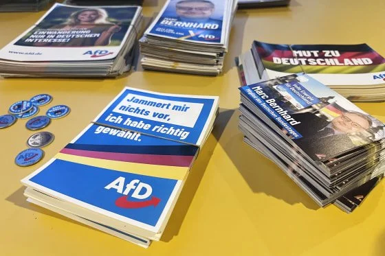 On the campaign trail with Germany's far-right