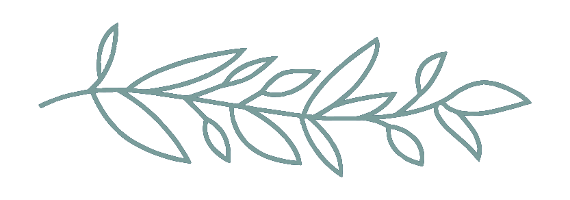 KNOX_smallbranch-02.png