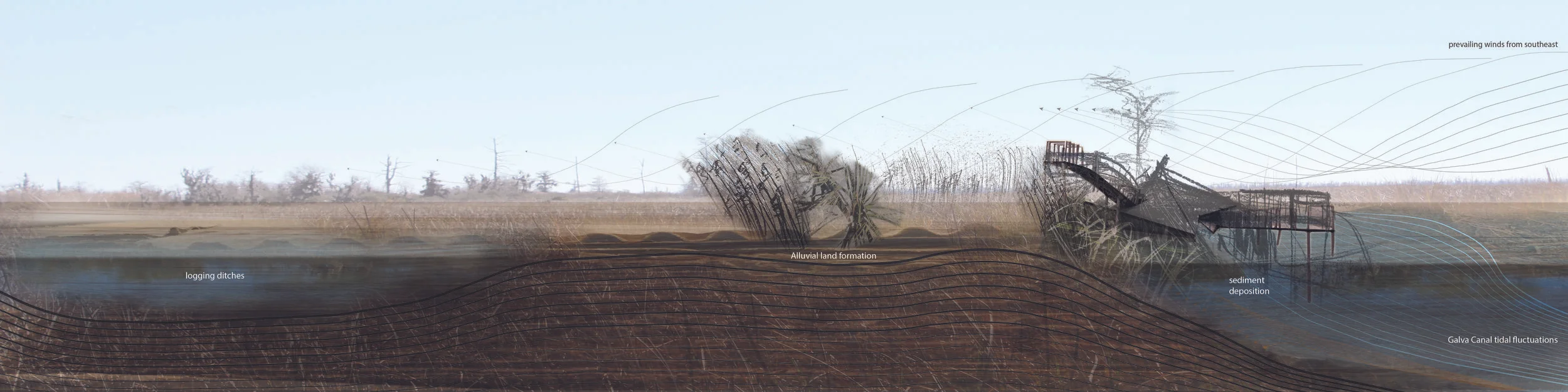 Site Section through Swamp Vessel