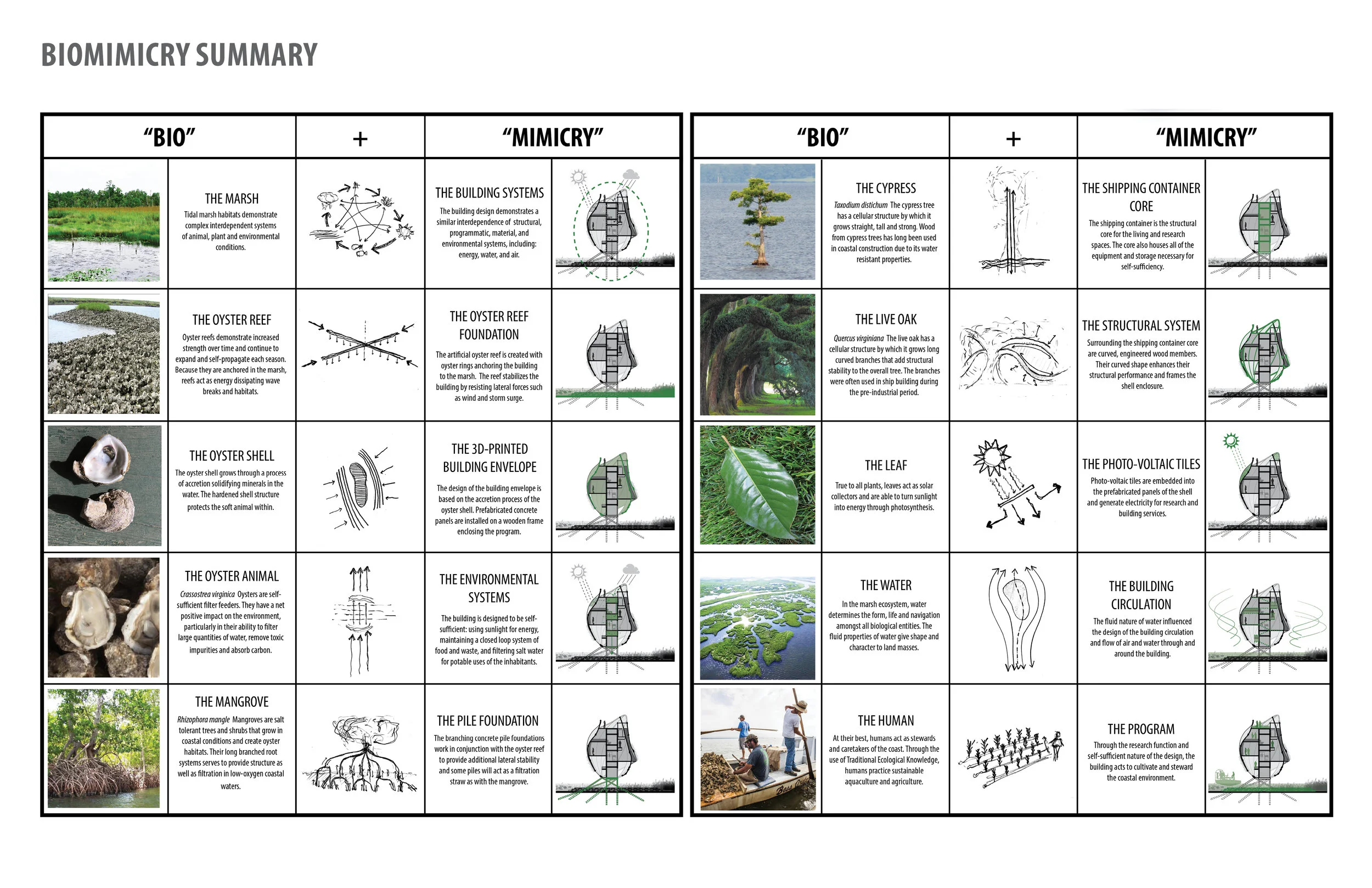 Biomimicry Matrix
