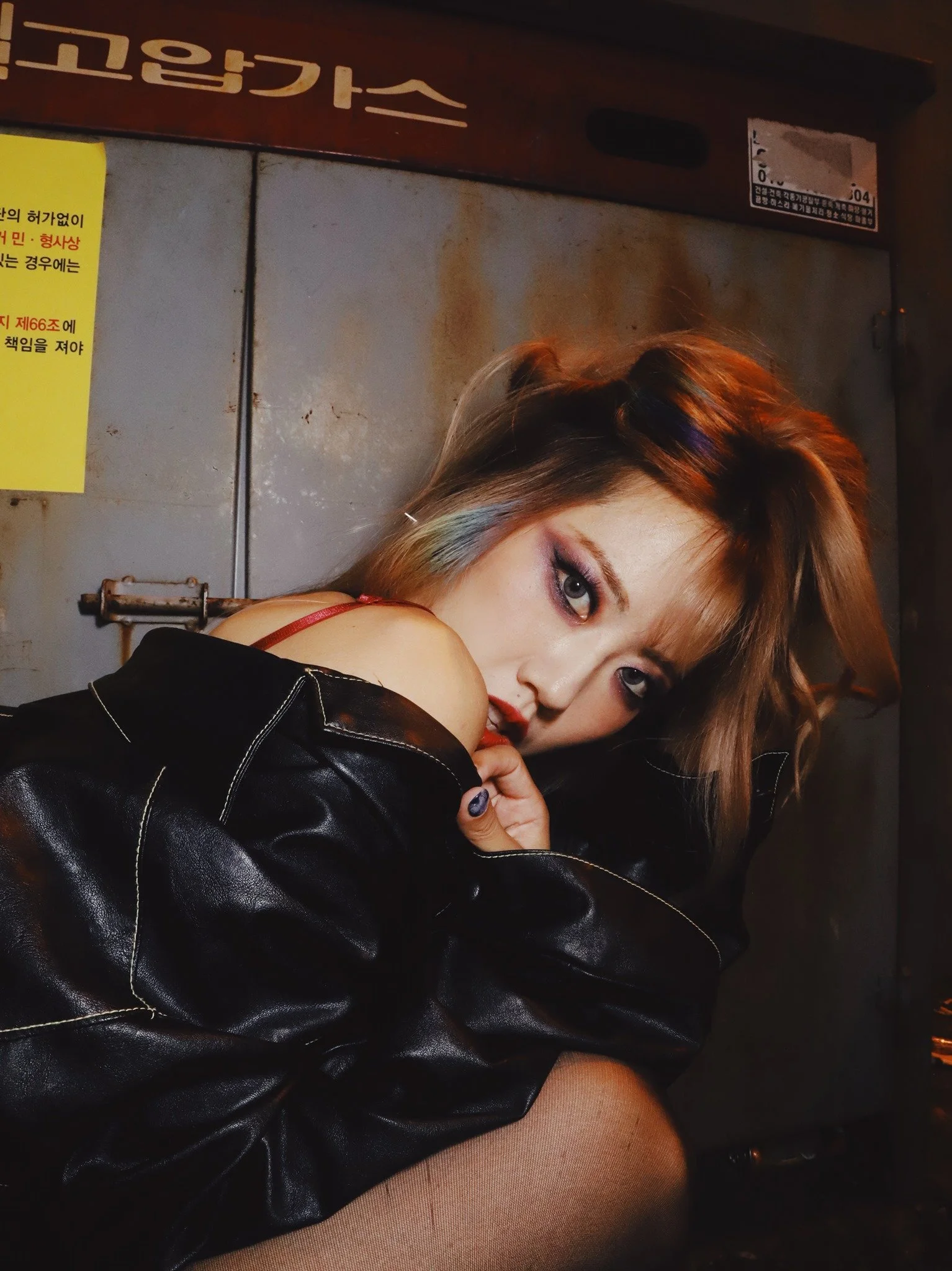 The SEOULHIO Project: Bringing Seoul to Your Sizzle 