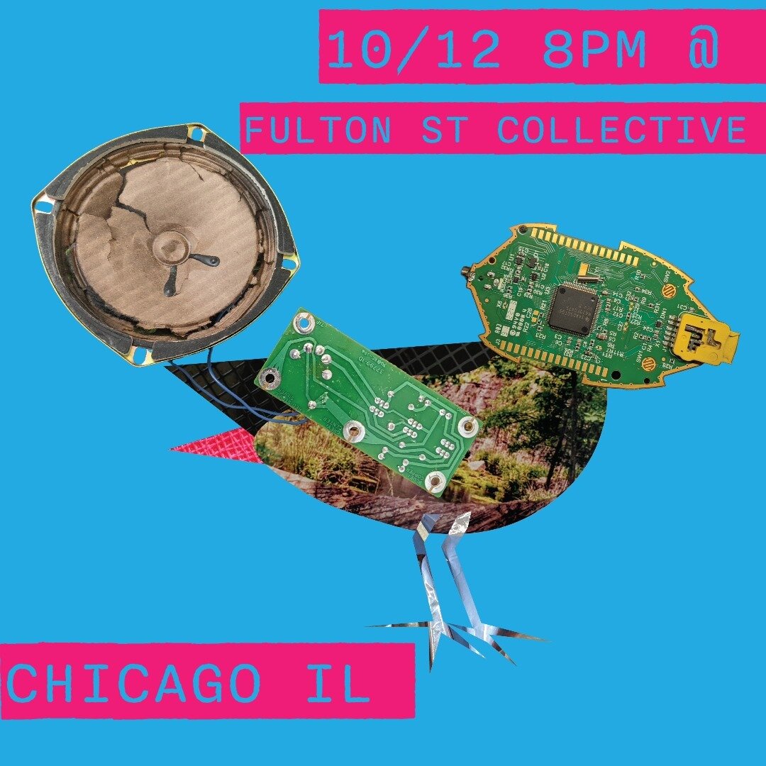 A little birdie told me Conspiracy Deliracy plays tonight in Chi-town #birdsarentreal 

#chicago #chicagolivemusic #livemusic #jazz #conspiracy #liveart