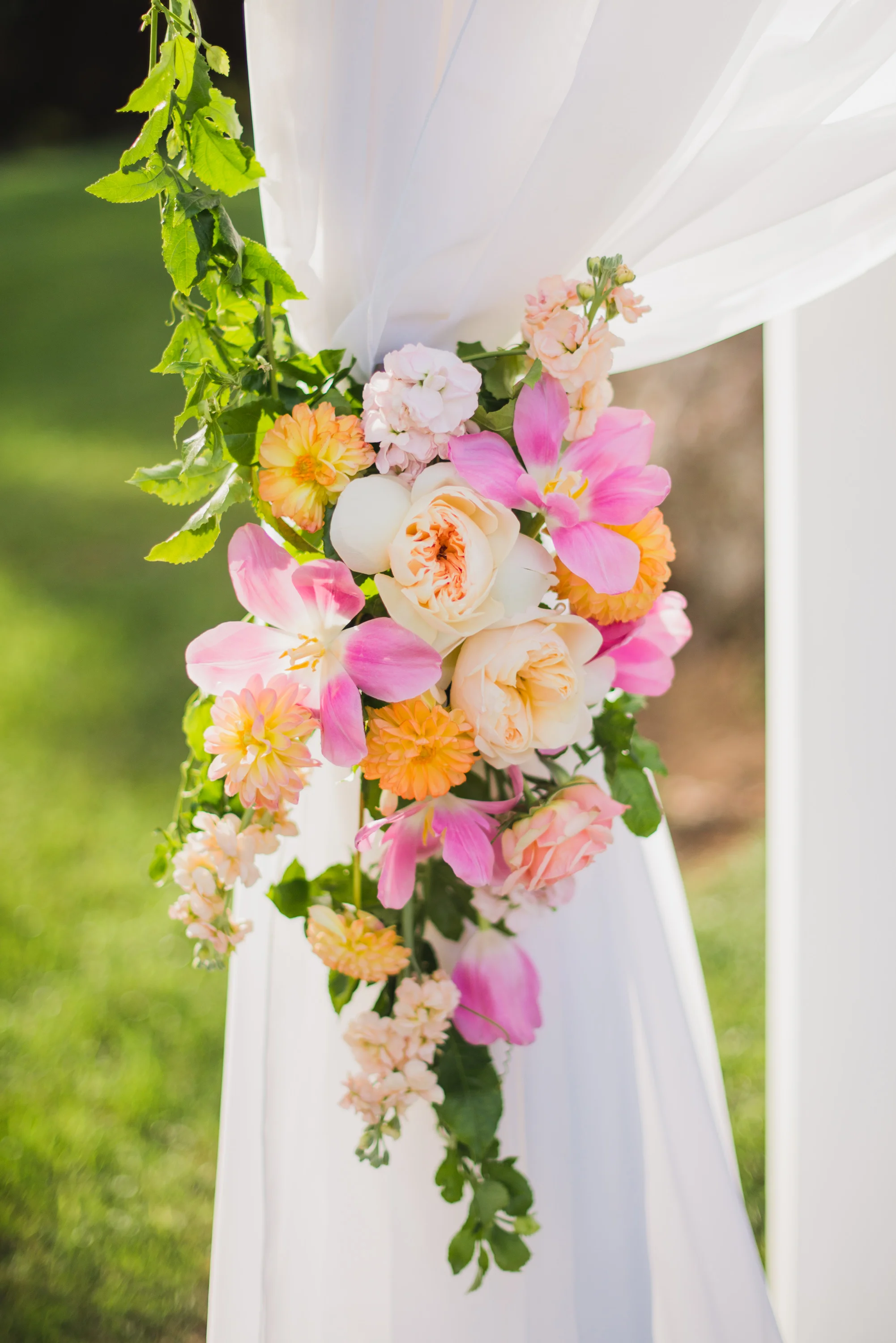 121_JSPhoto_Hayley_Jeff_102415.jpg