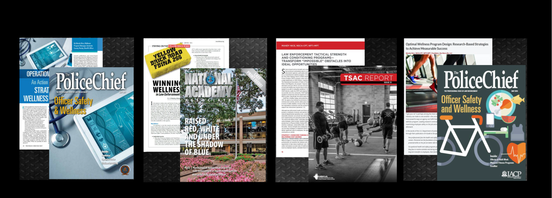 Publications page - pic of articles - Version 5.PNG