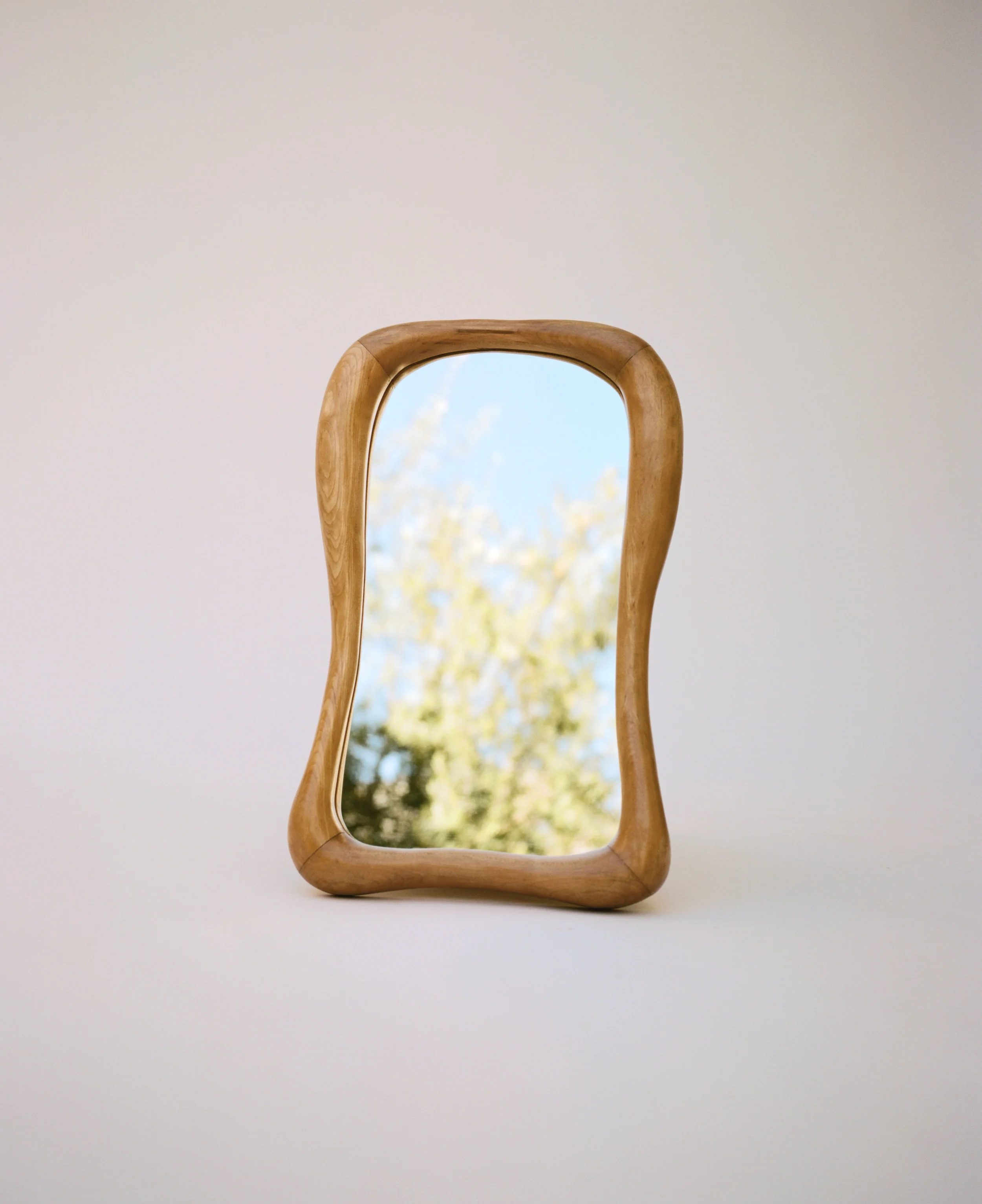 anthro-mirror2.jpg