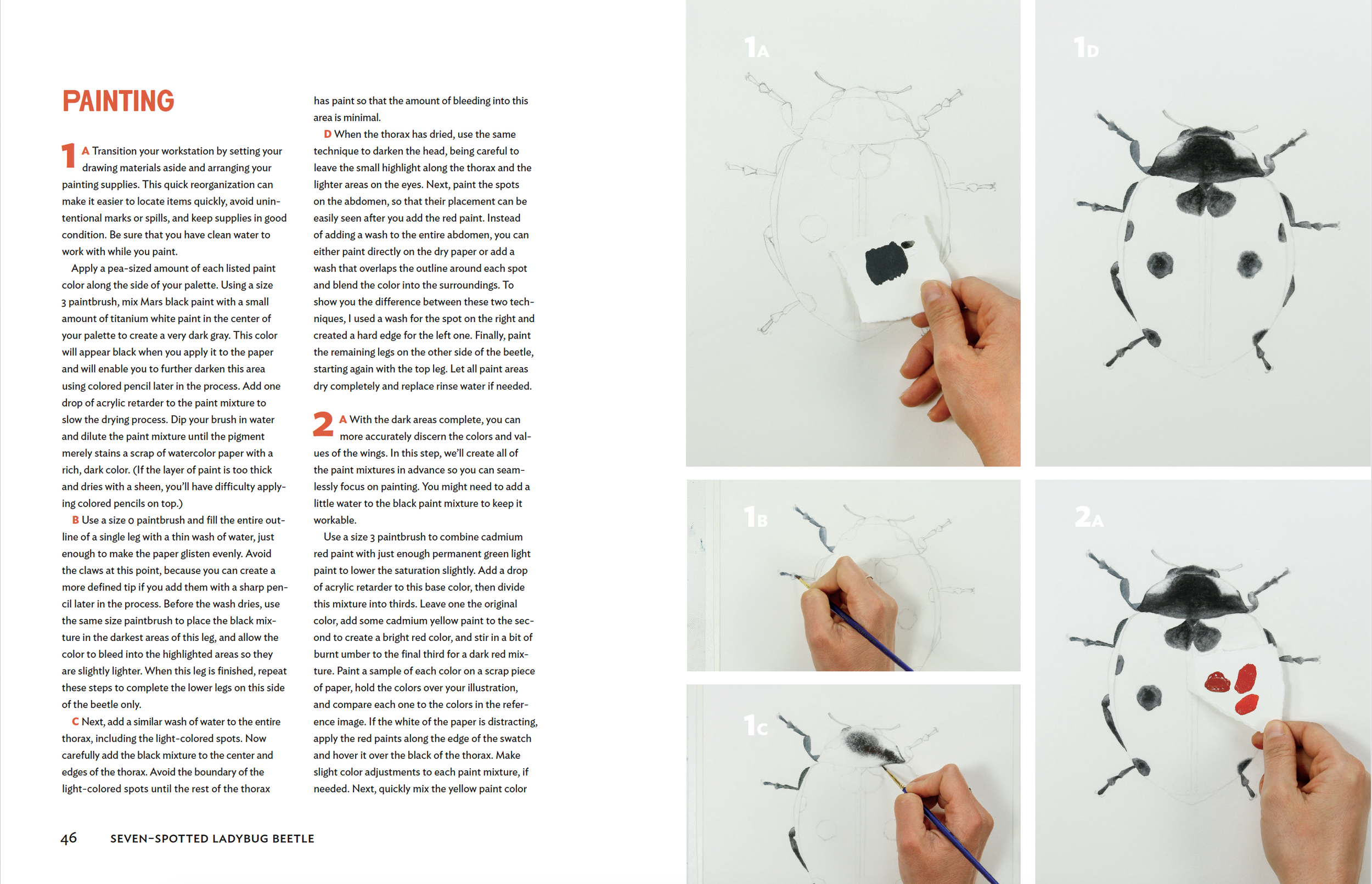 Screenshot 2024-07-15 at 3.15.39 PM.png