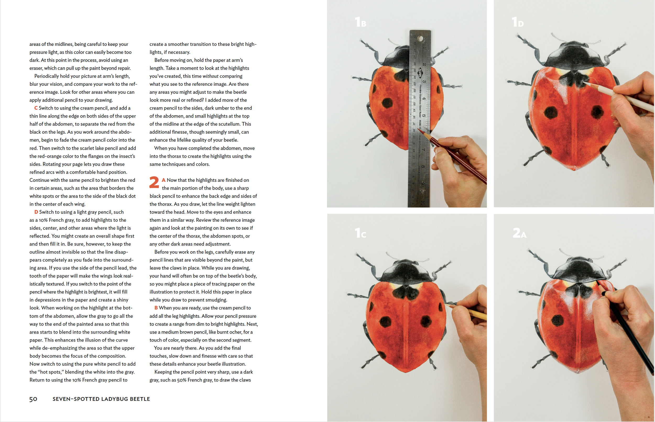 Screenshot 2024-07-15 at 3.15.47 PM.png