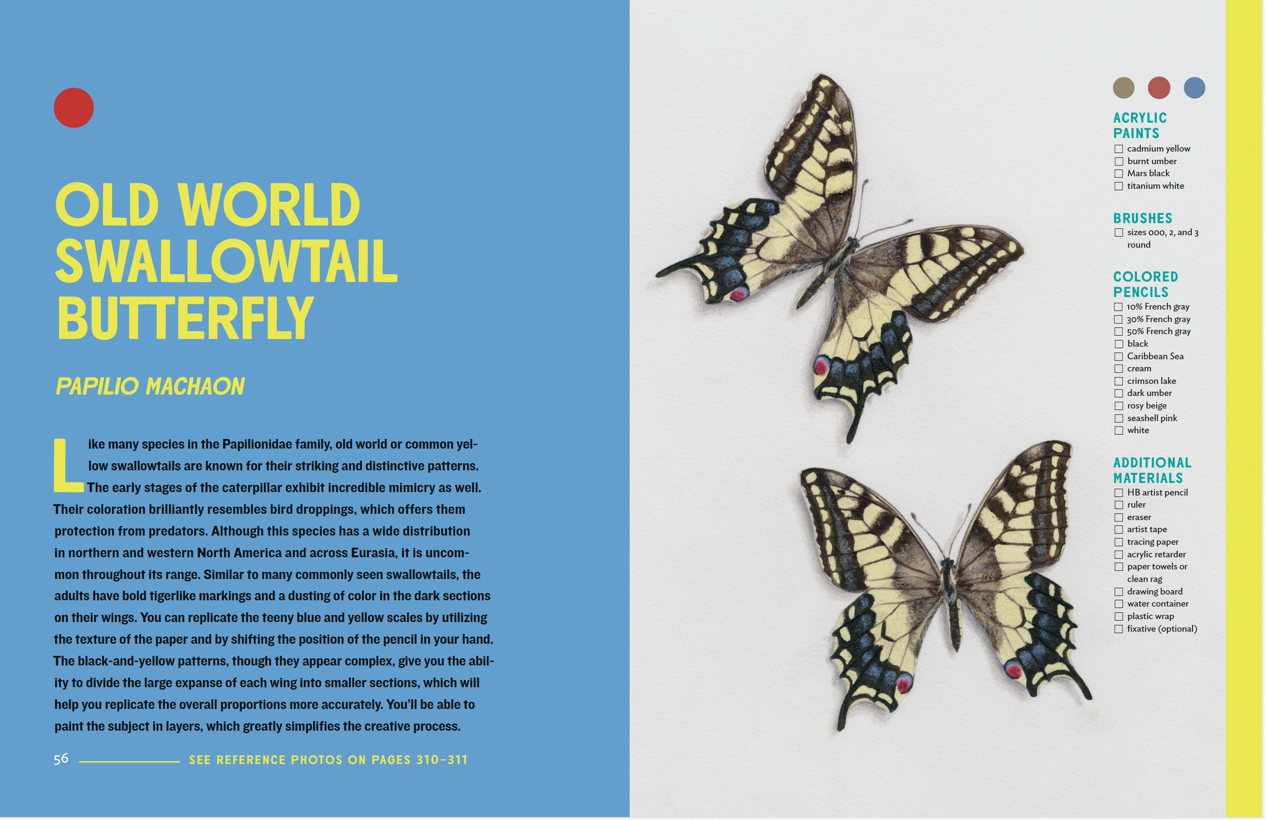 Screenshot 2024-07-15 at 3.15.57 PM.png