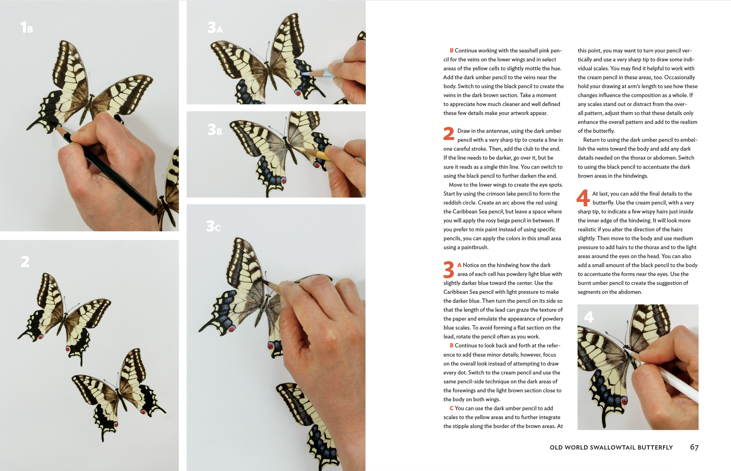 Screenshot 2024-07-15 at 3.16.07 PM.png