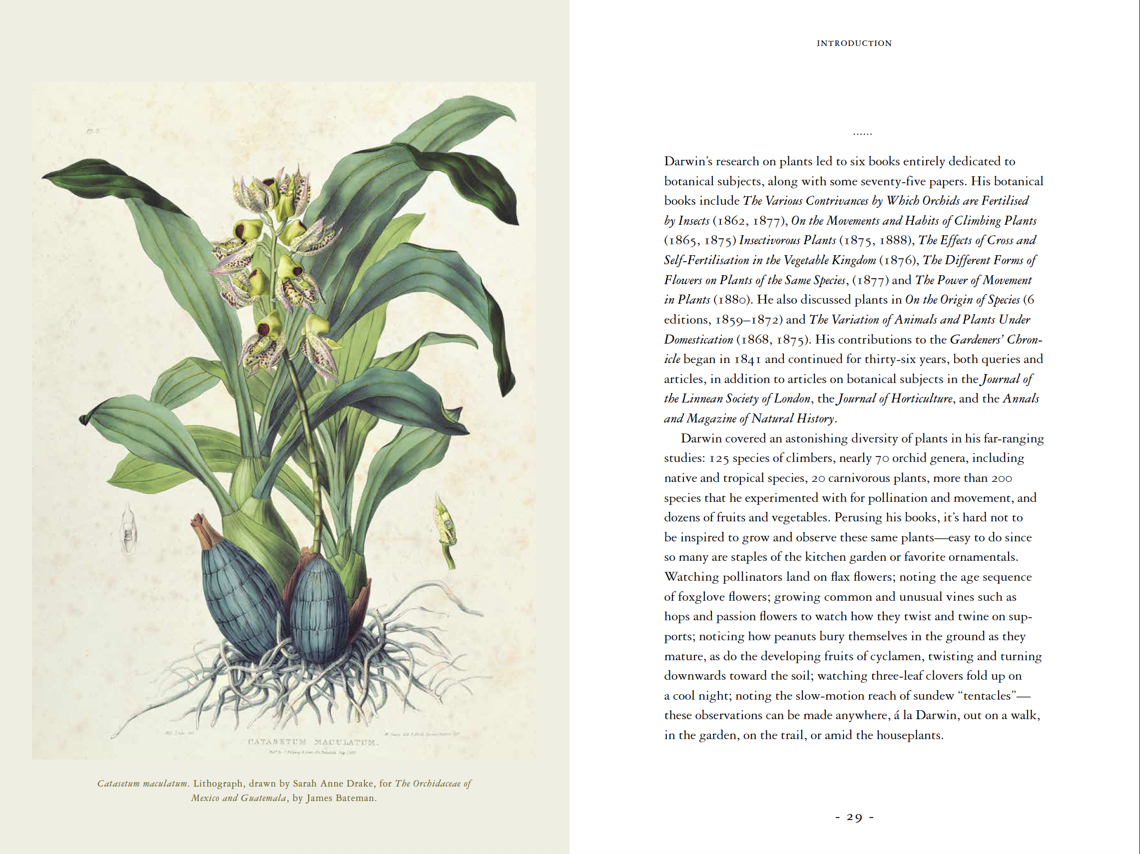 Screenshot 2024-07-15 at 3.34.39 PM.png