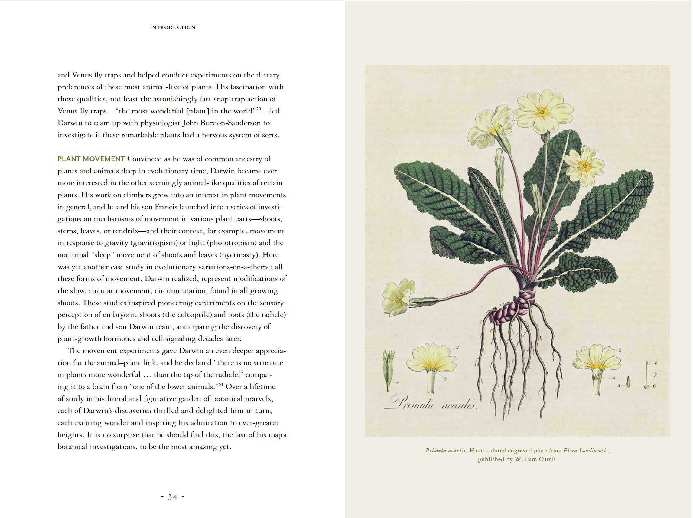 Screenshot 2024-07-15 at 3.34.51 PM.png