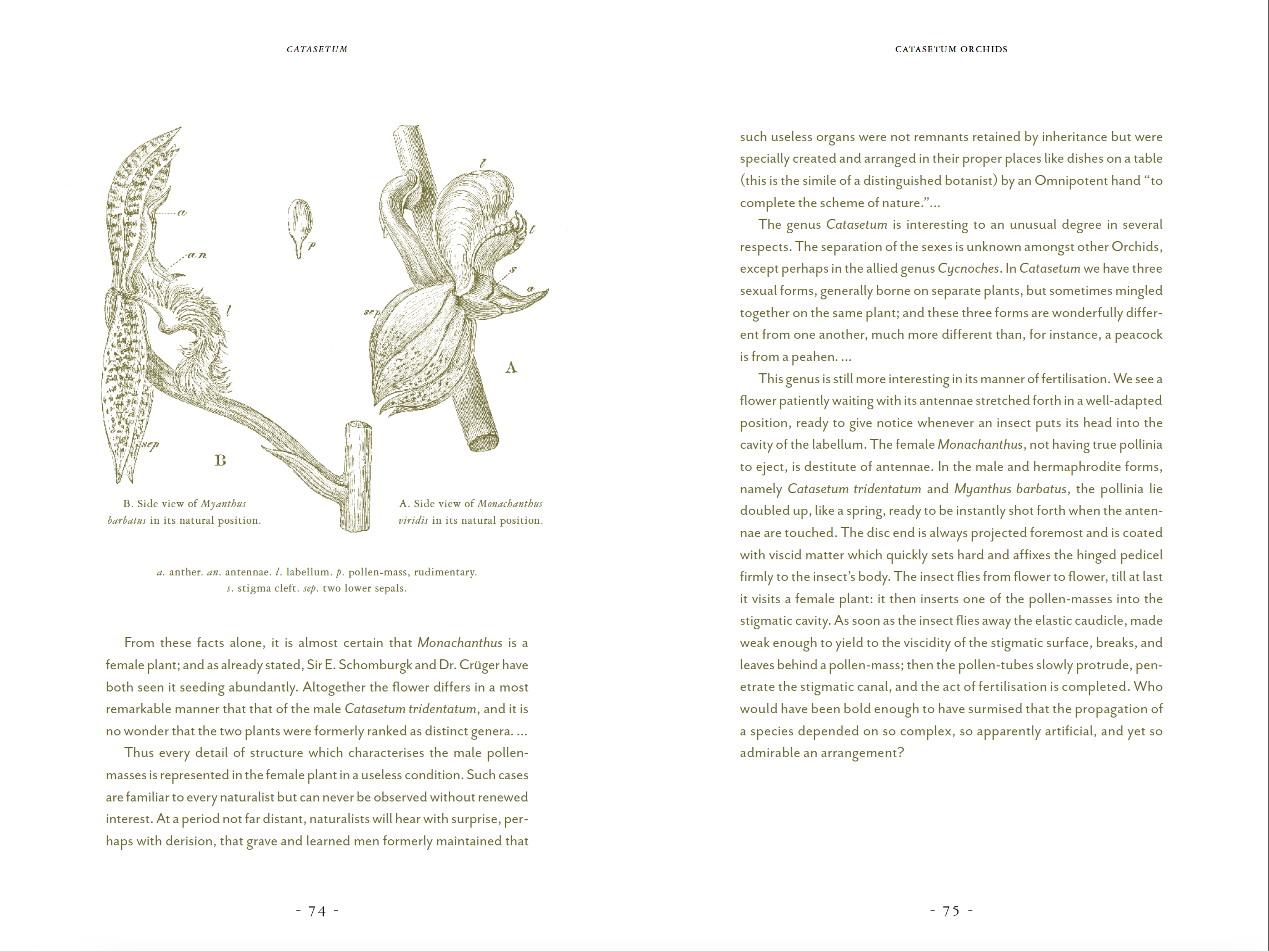 Screenshot 2024-07-15 at 3.35.15 PM.png