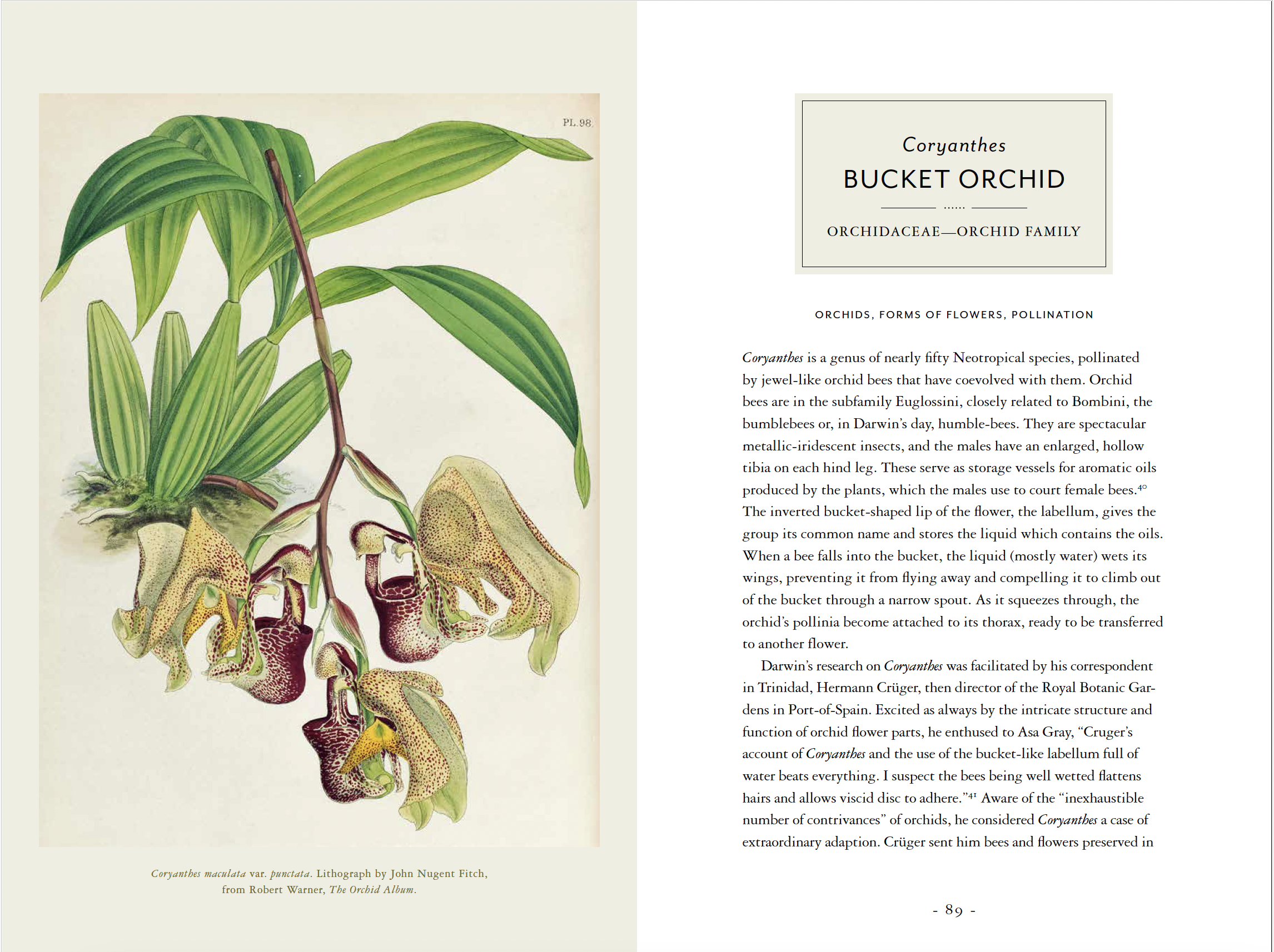 Screenshot 2024-07-15 at 3.35.23 PM.png