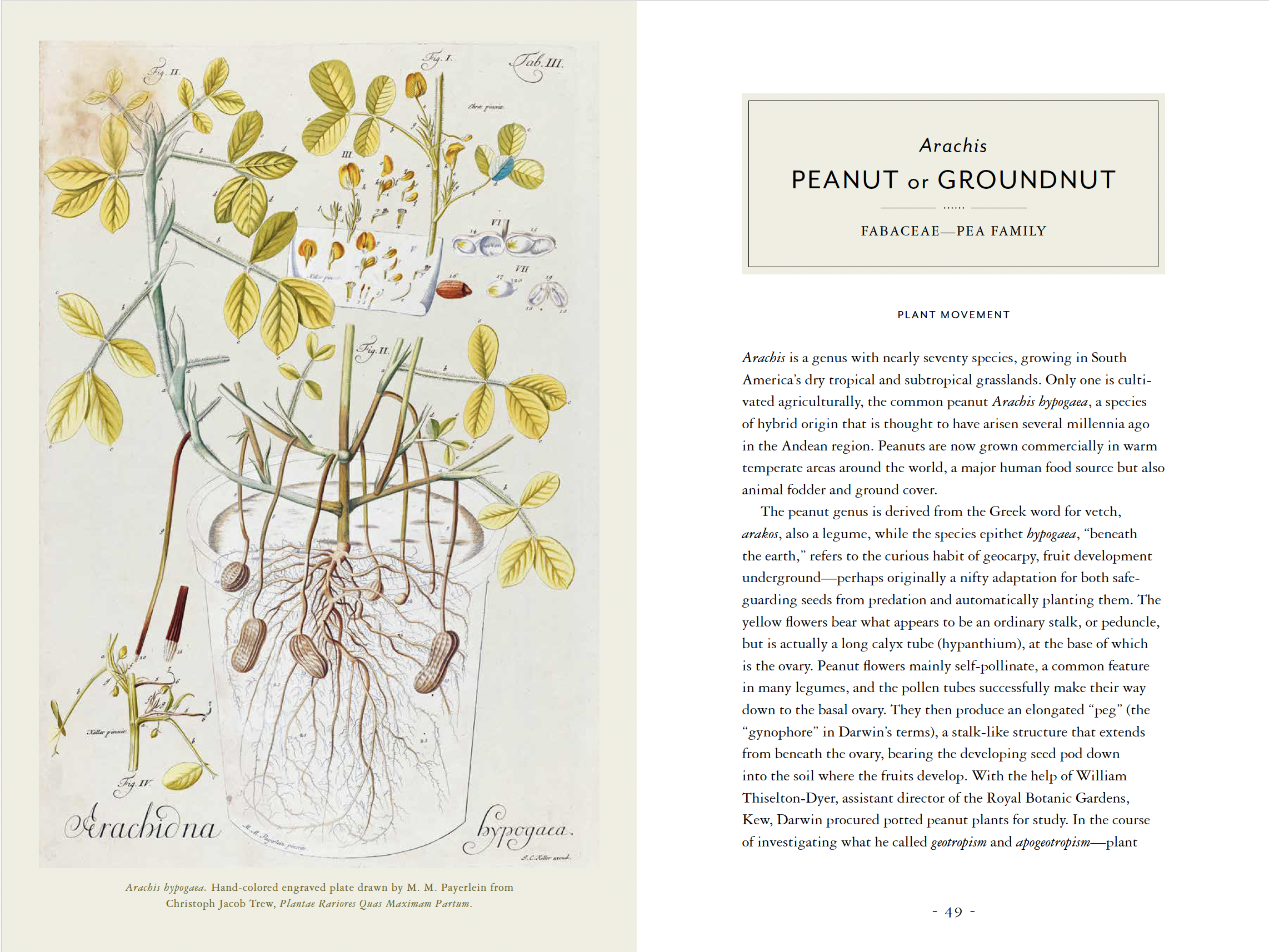 Screenshot 2024-07-15 at 3.35.59 PM.png