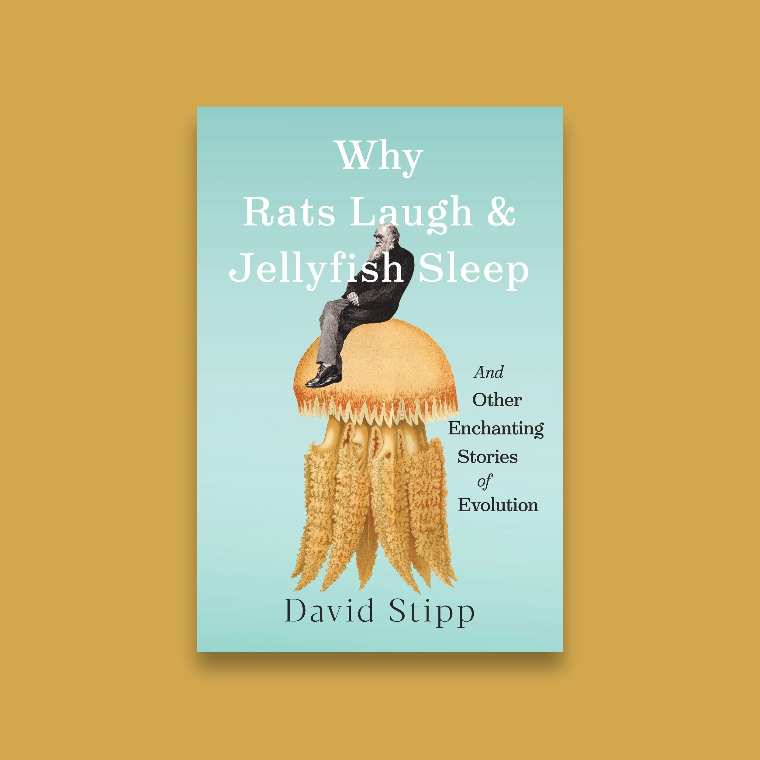  Hardcover jacket and interior design 