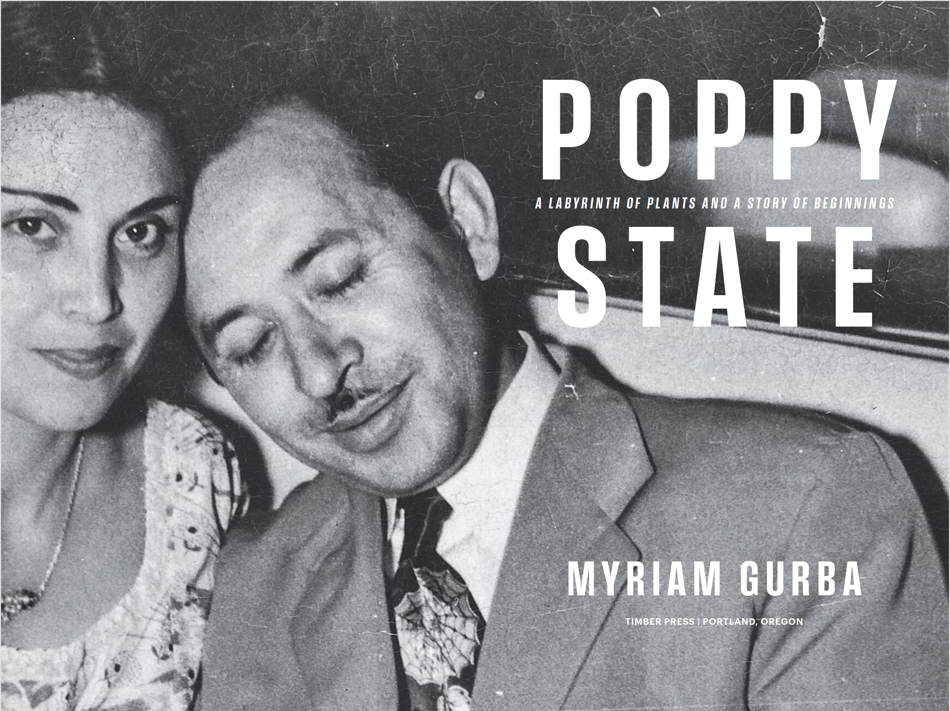 Screenshot 2025-07-01 at 11.59.45 AM.png