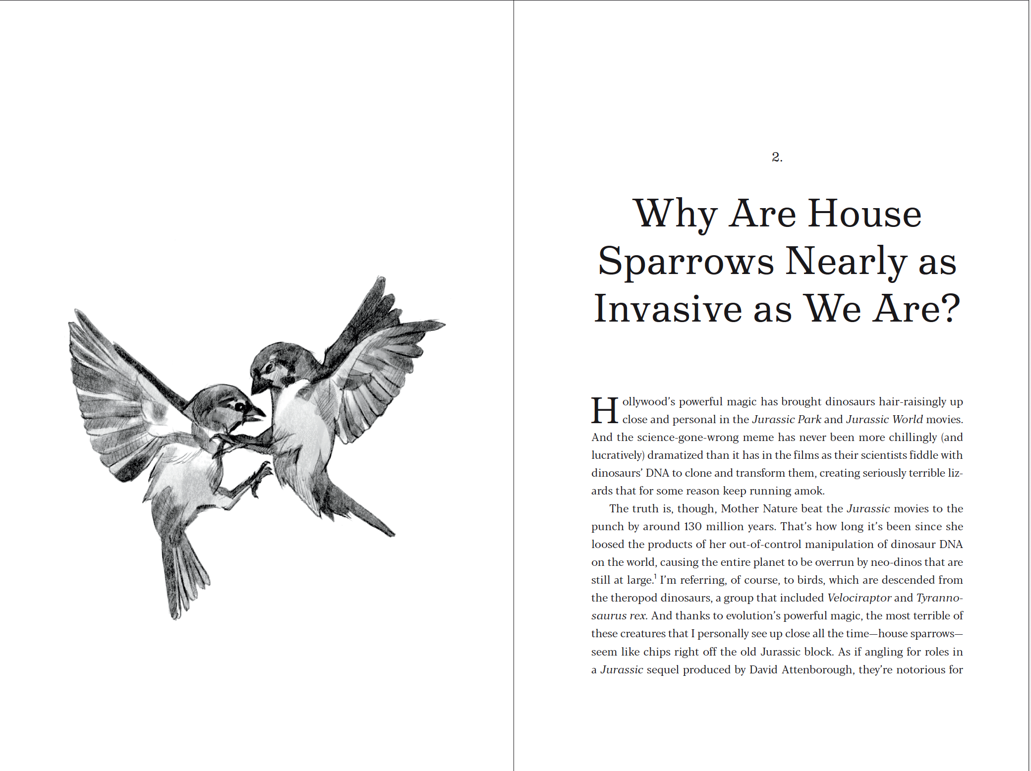 Screenshot 2025-07-01 at 12.08.56 PM.png