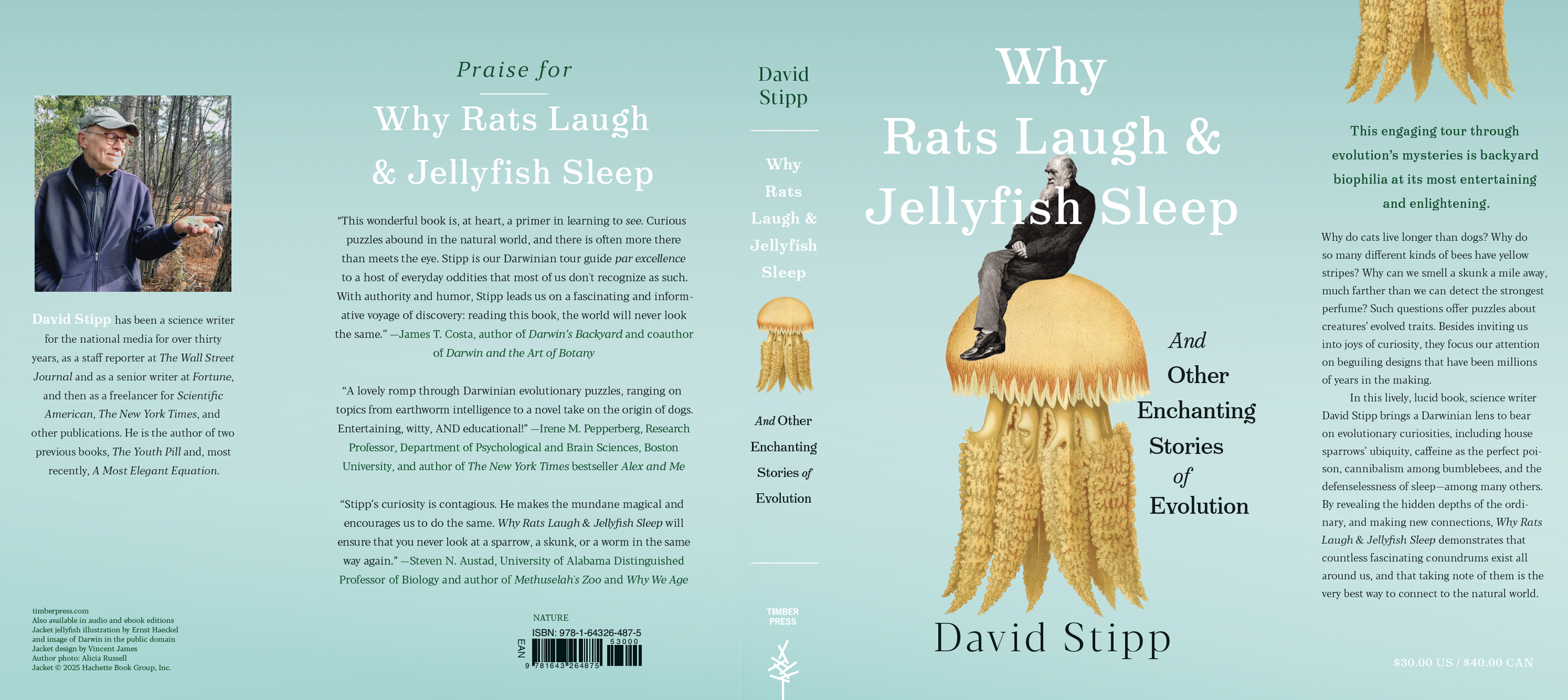 Screenshot 2025-07-01 at 12.10.15 PM.png