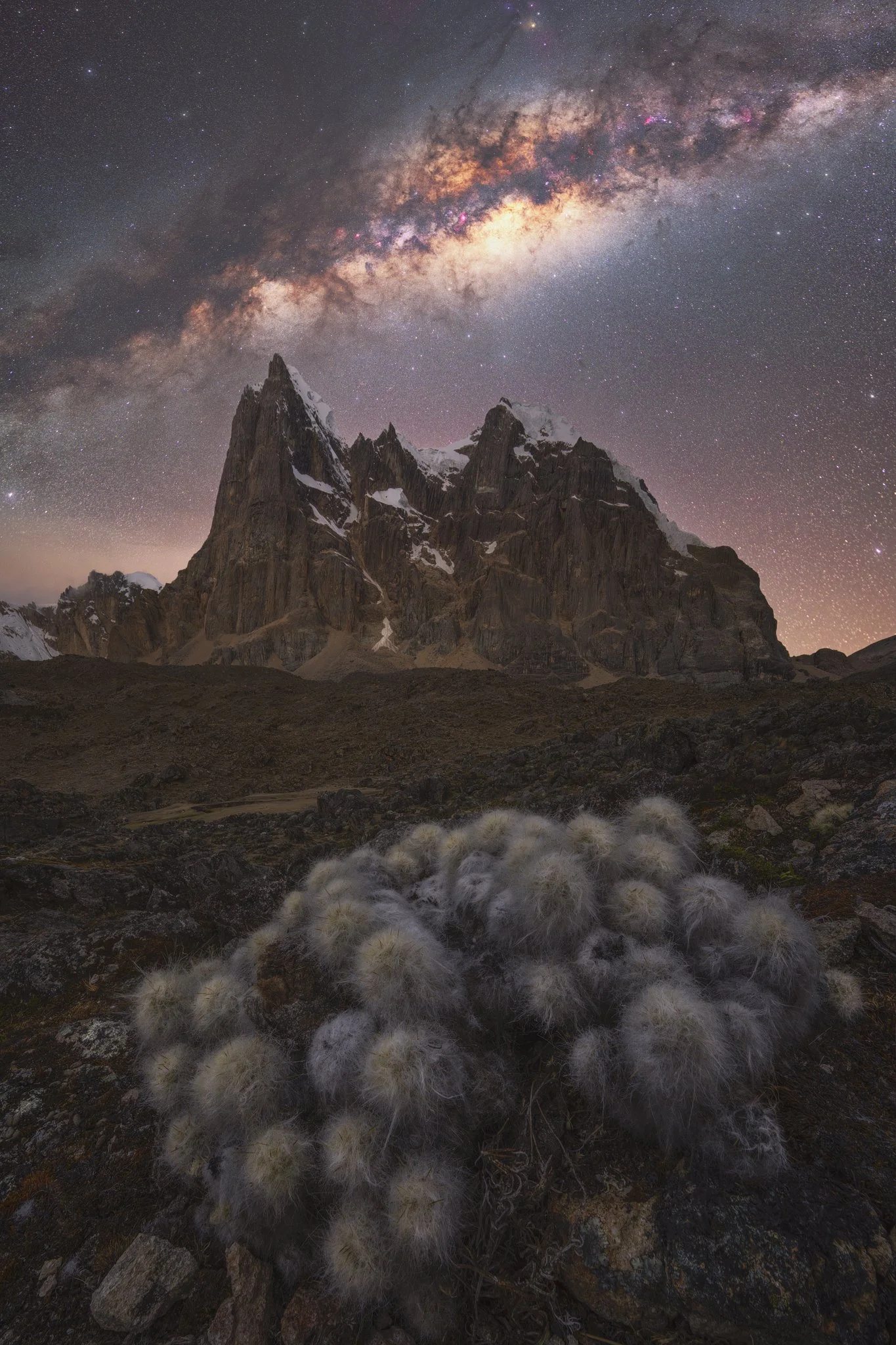 Cactus Chasm