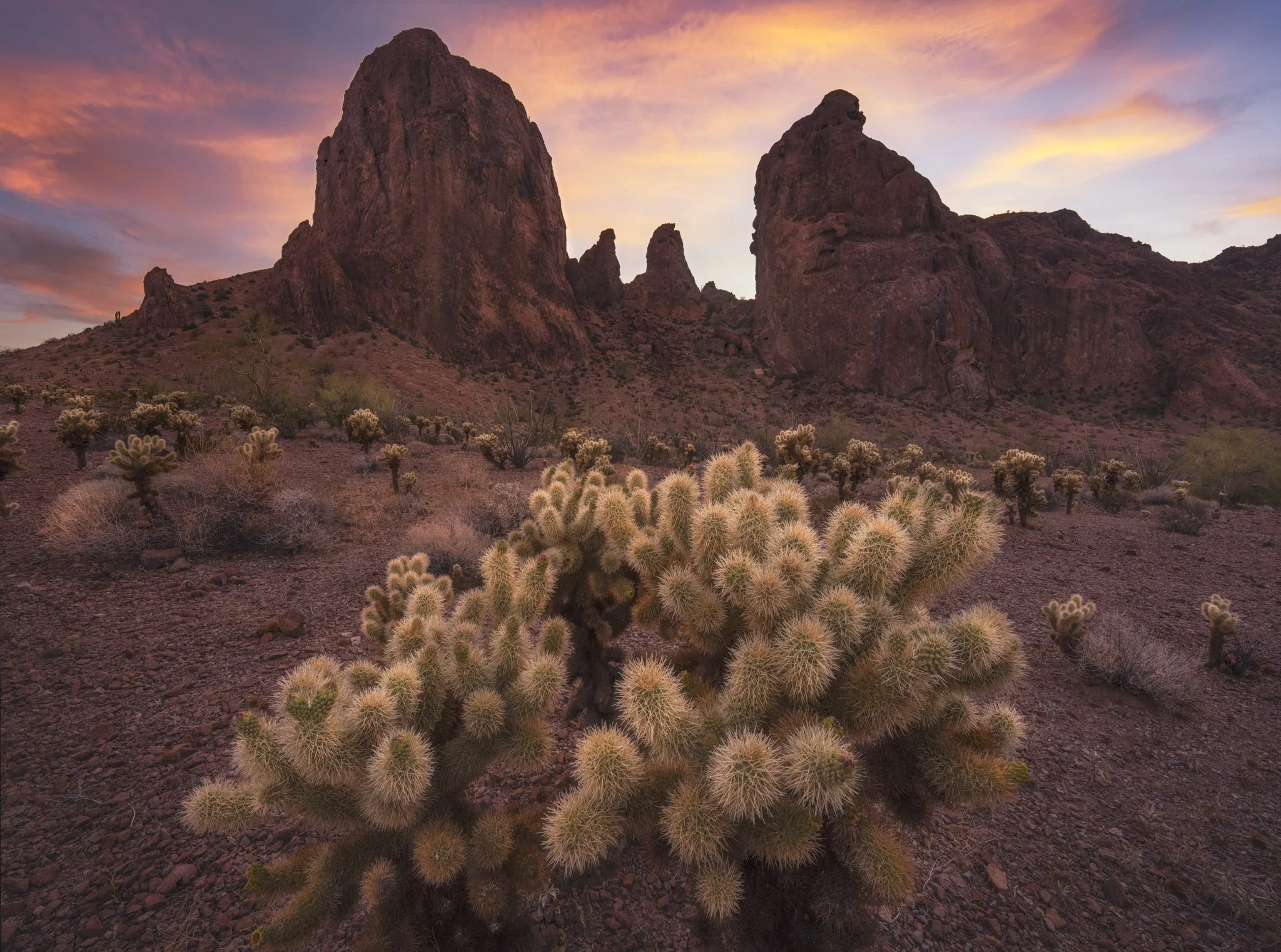 Desert Dawns