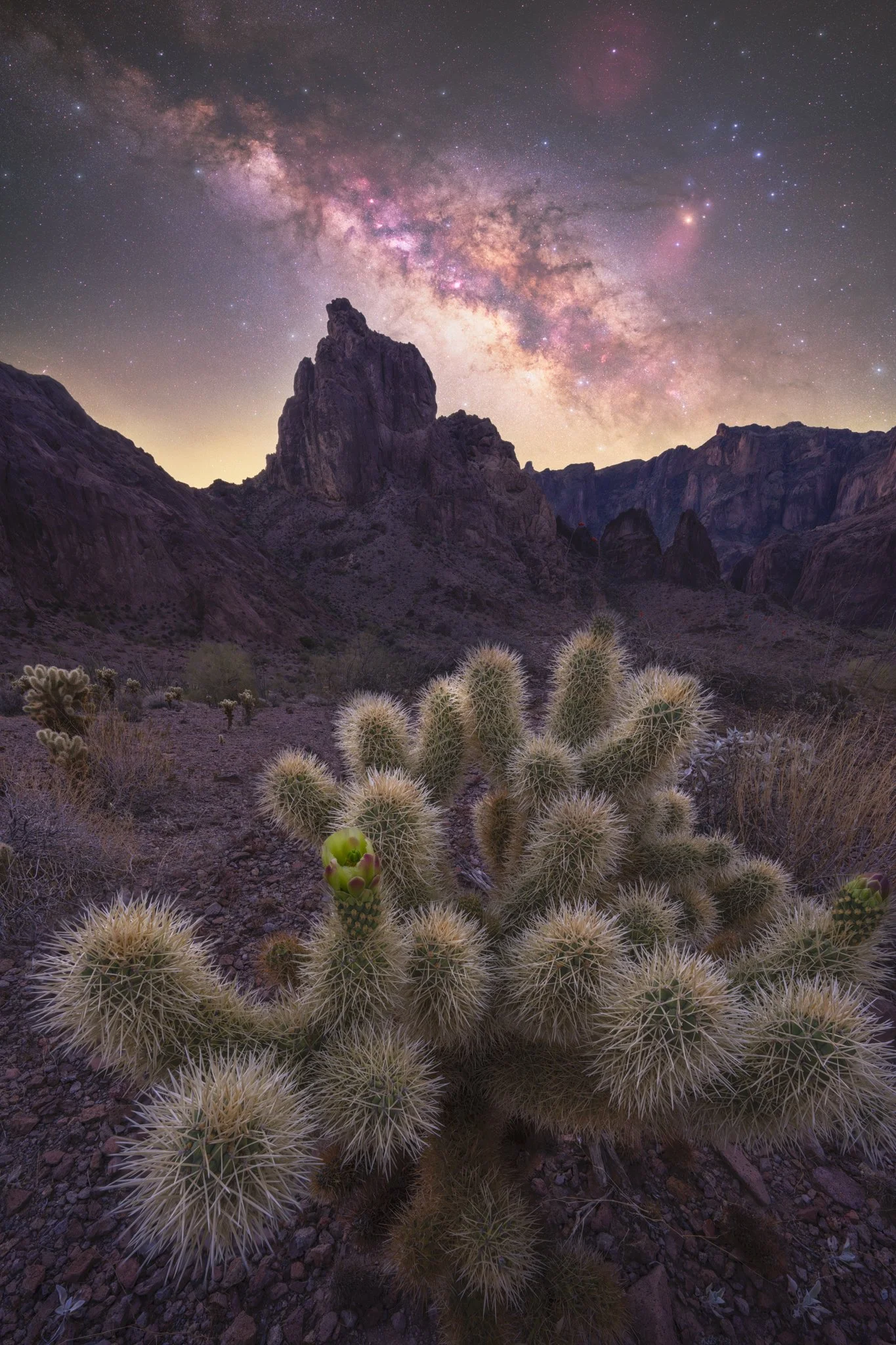 Cholla Charm