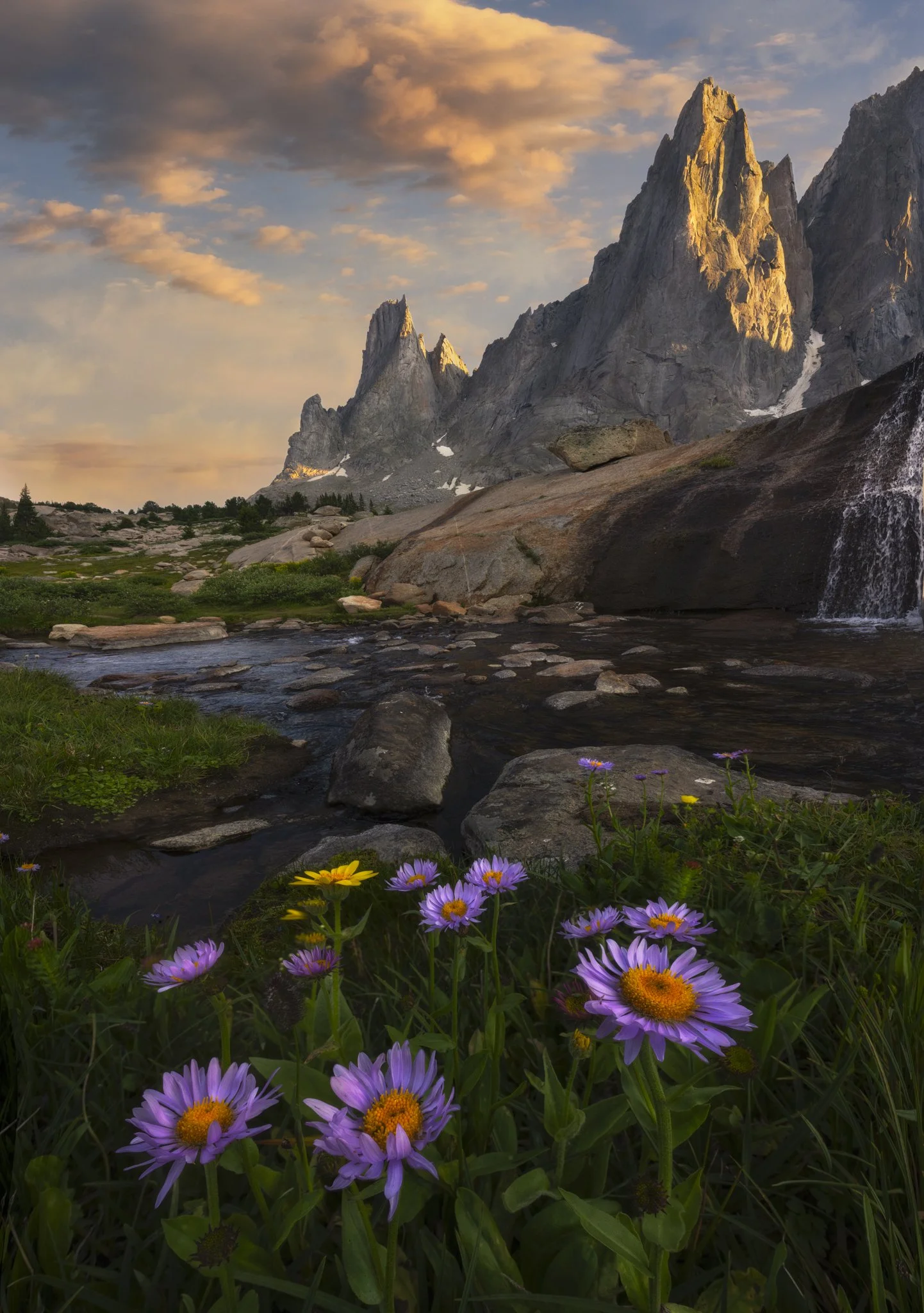 CIRQUE OF THE FLOWERS