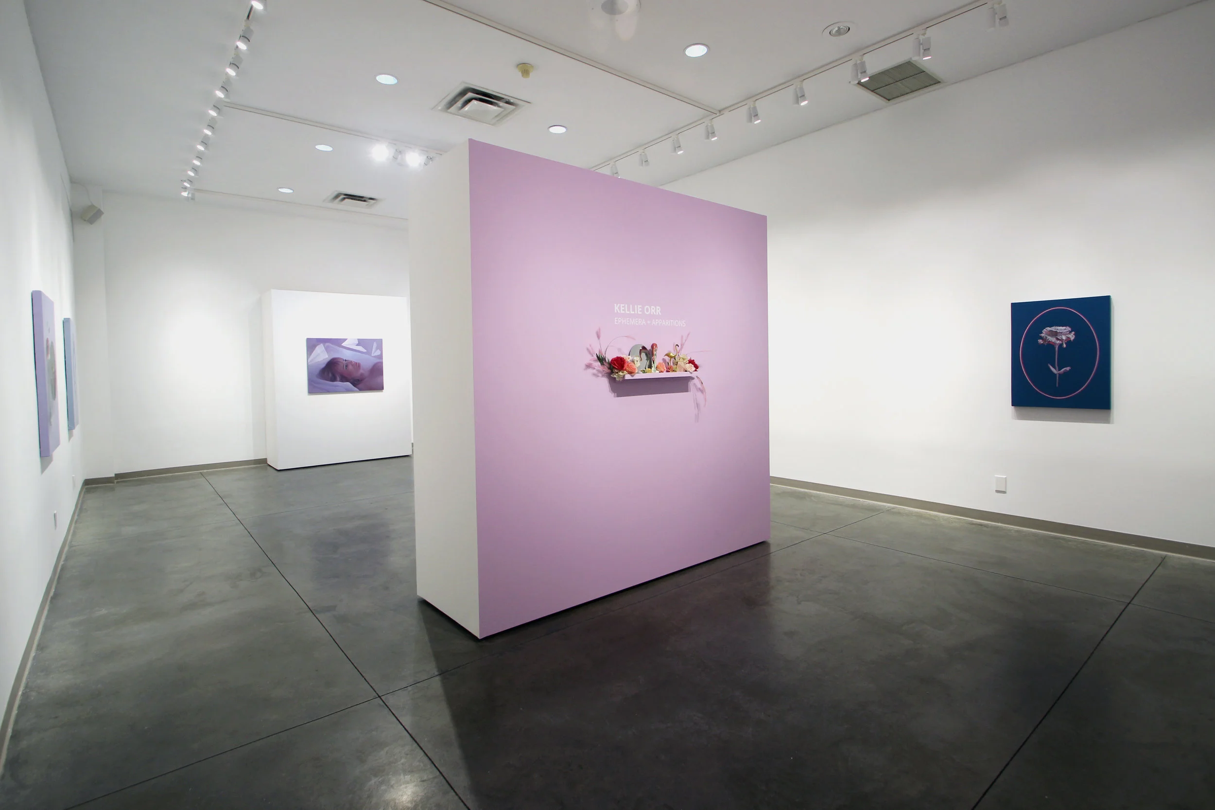 KELLIE ORR Ephemera and Apparitions.jpg
