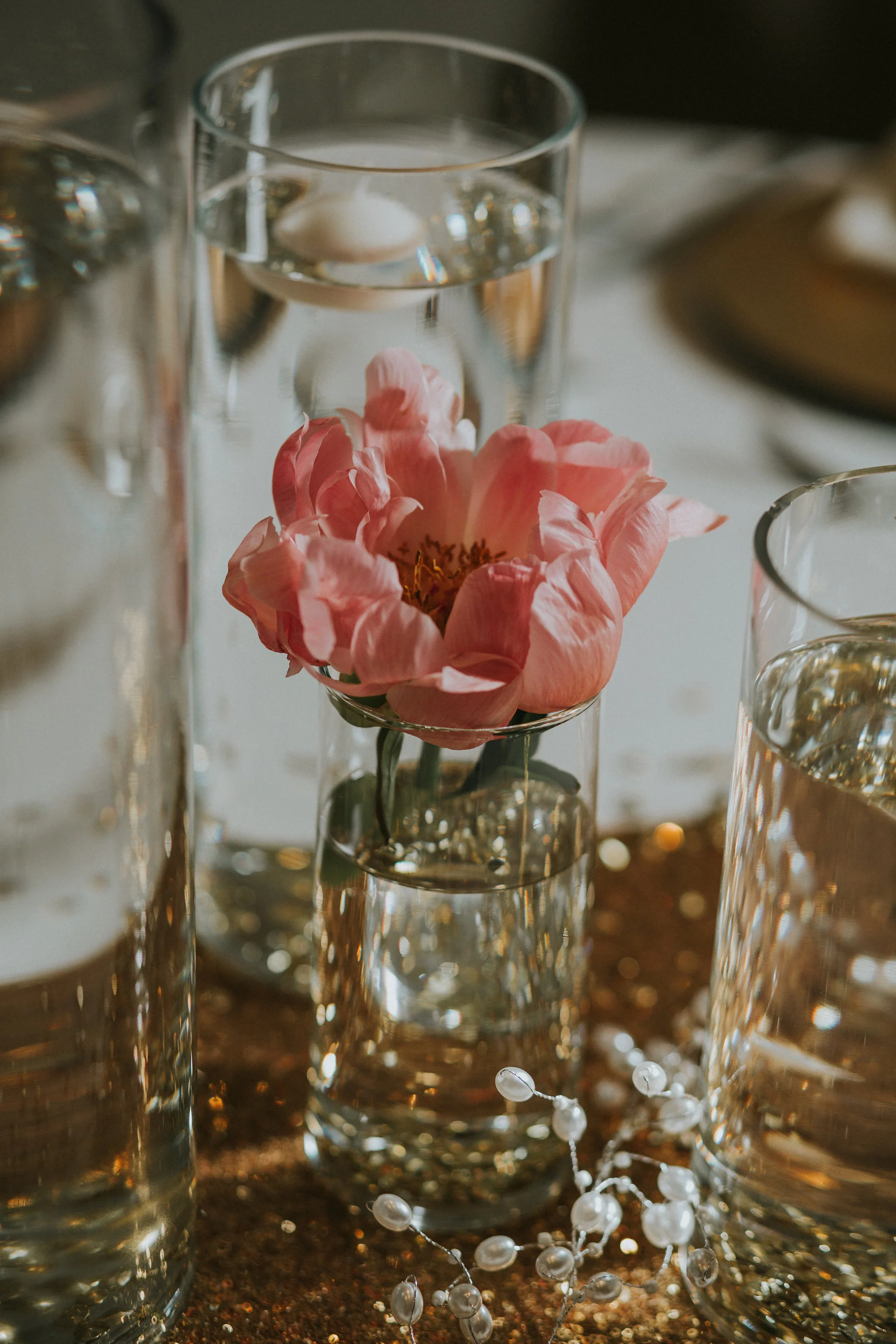 Chander Rose Peony .jpg