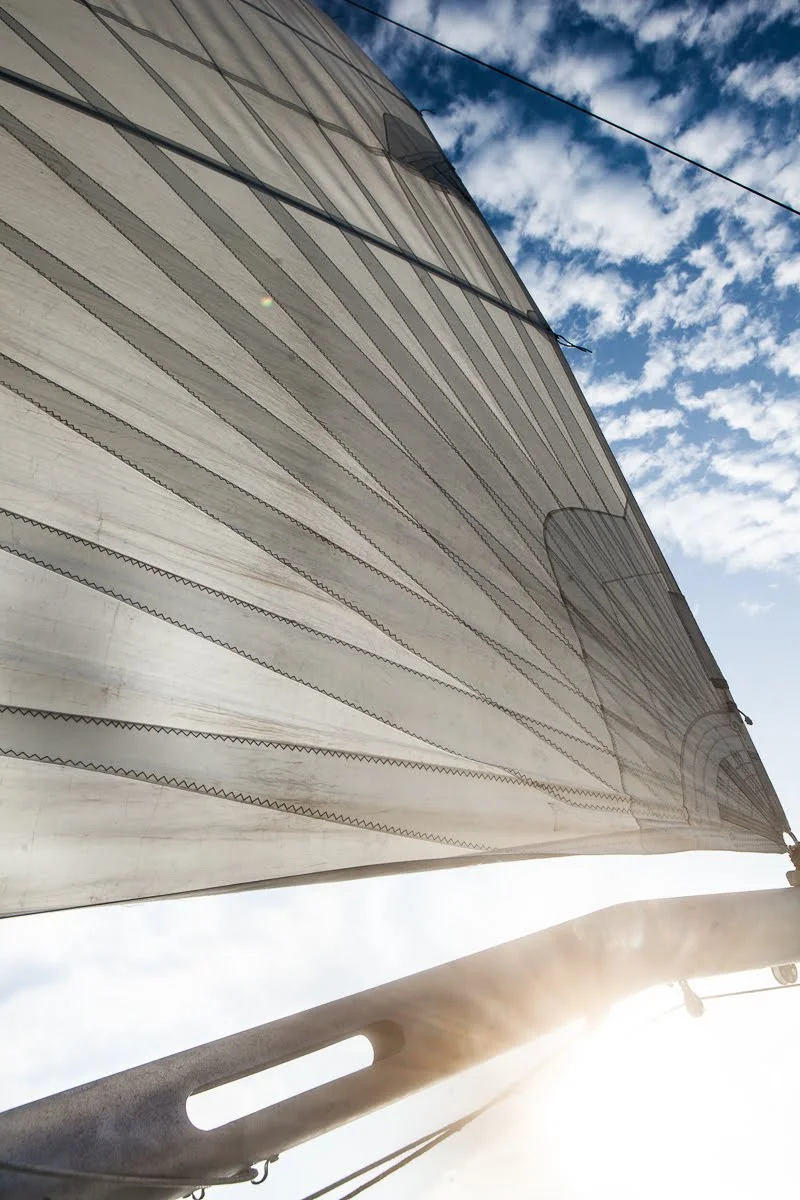 catamaran-24.jpg