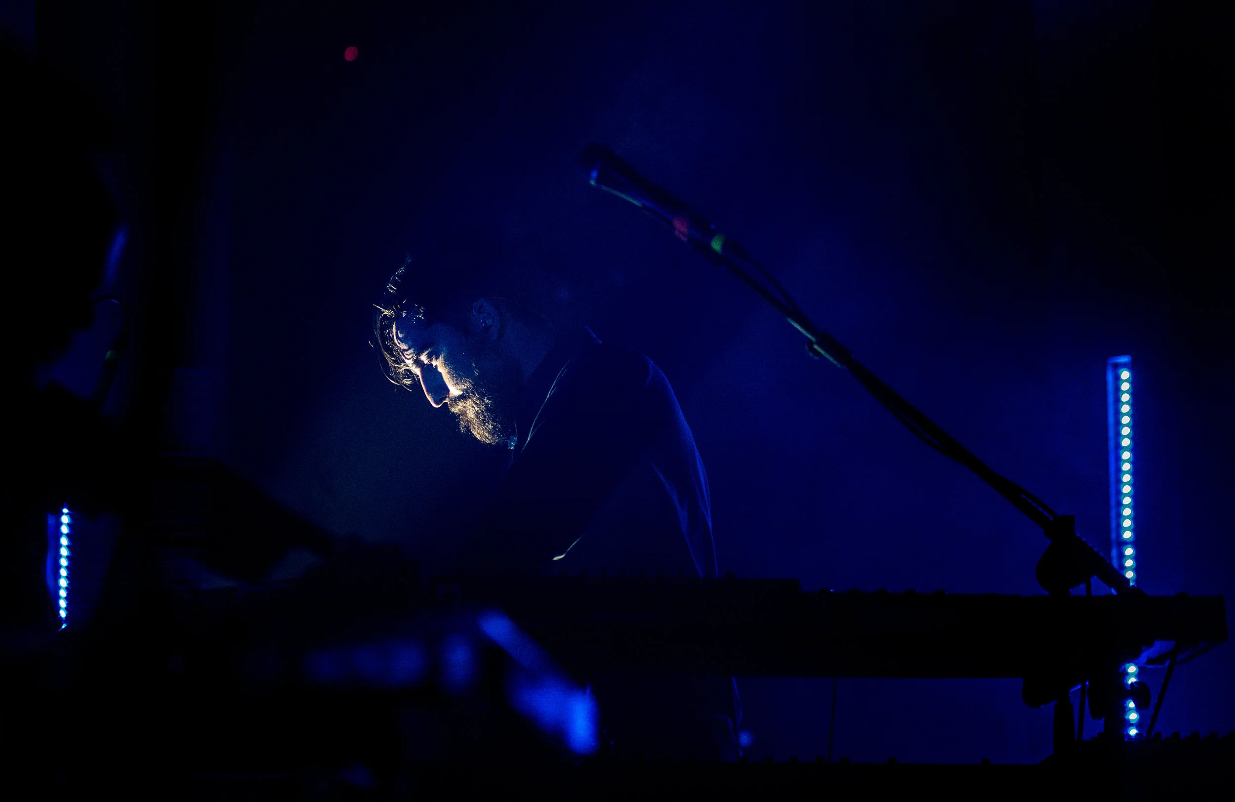 TheAlbumLeaf-17.jpg