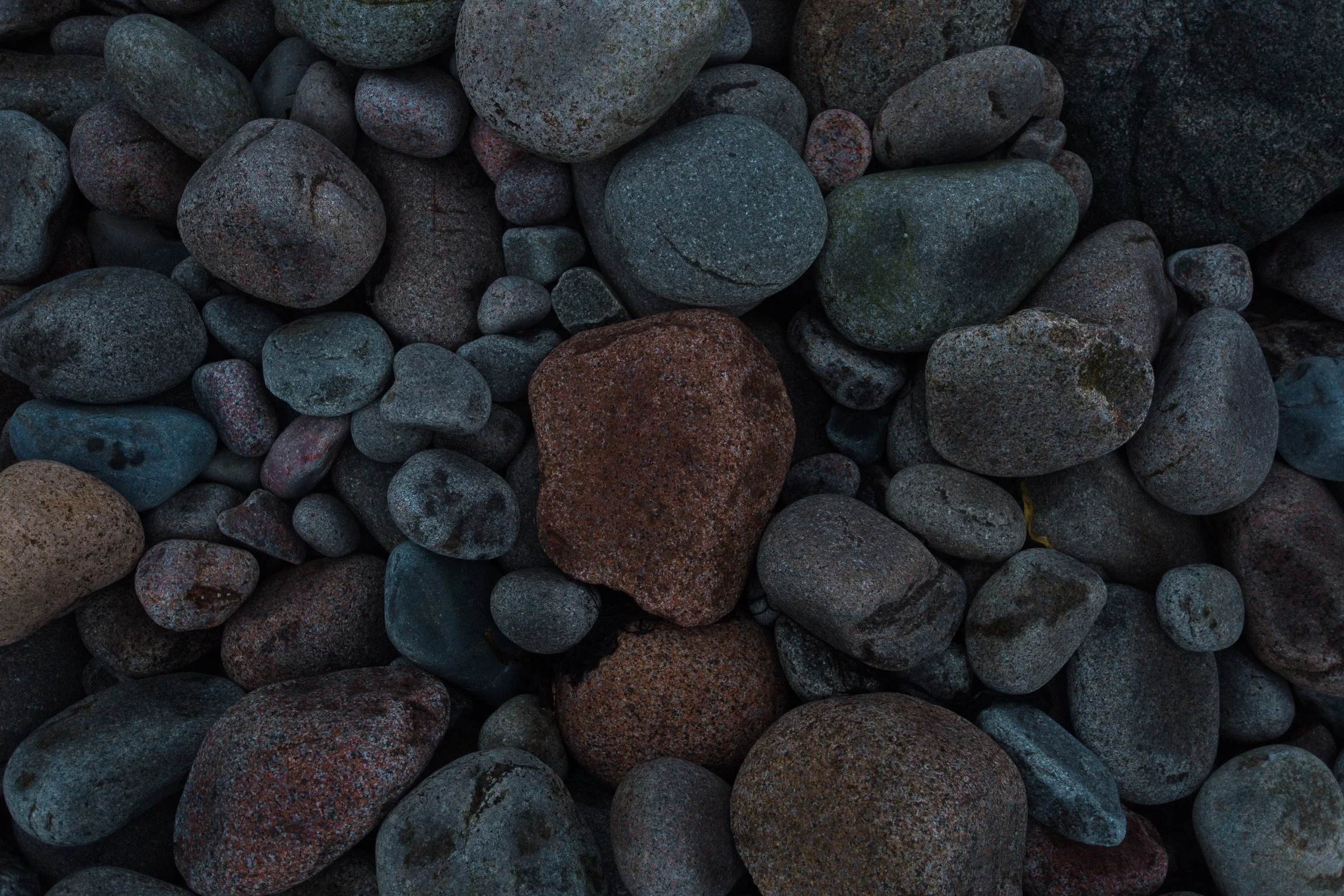 Acadia Boulder Beach.JPG