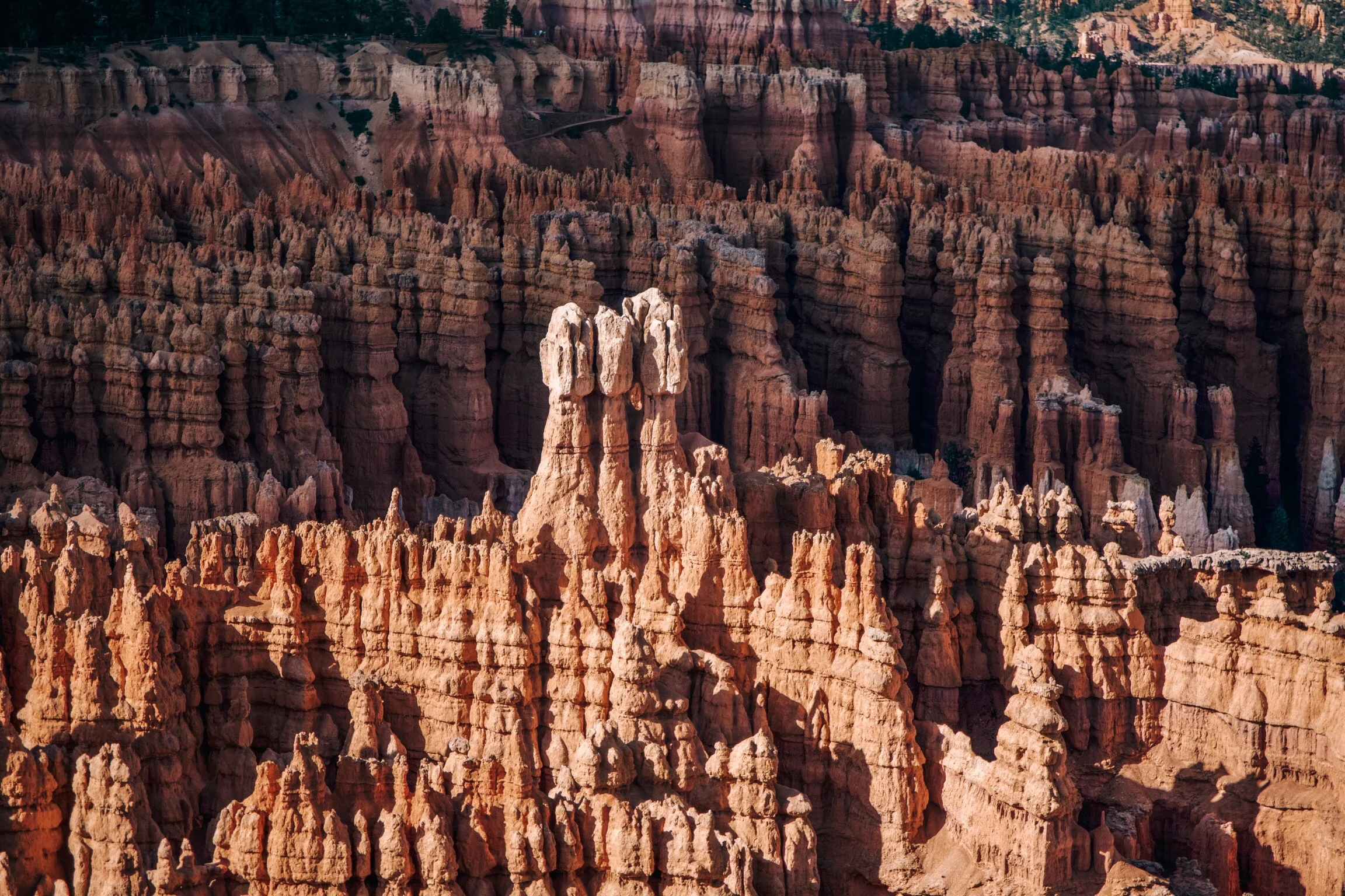 One of the more amazing things we’ve seen so close to home- Bryce Canyon National Park| Edward Arthur Dalton