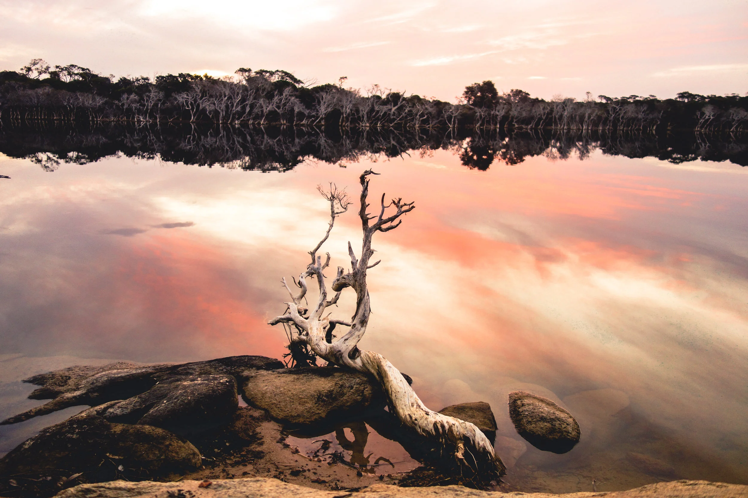 Taken in at a bush camp in Munglinup, West Australia with a Sony DSC - RX100.