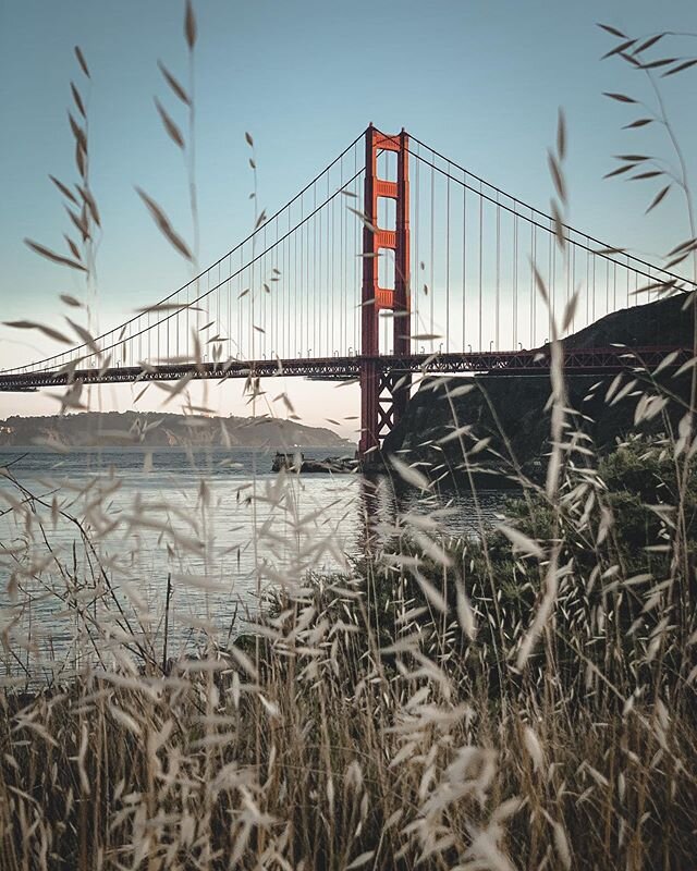 The golden gate at golden hour🧡...
.
.
.
#sf #onlyinsf #sflife #visitsanfrancisco #goldengatebridge #sausalito #sunset #goldenhour #specialized #travelgirl #travelgram #girlsvsglobe #girlslovetravel #girlsthatwander #femmetravel #wanderlust #sheisno